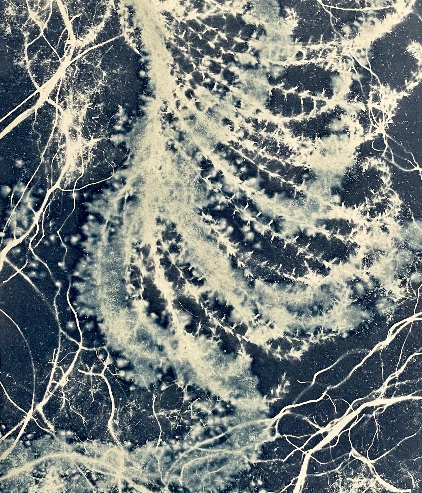 Dreams from the Deep artwork and accompanying poem published on Mr. Web (Mister Magazine) 2023