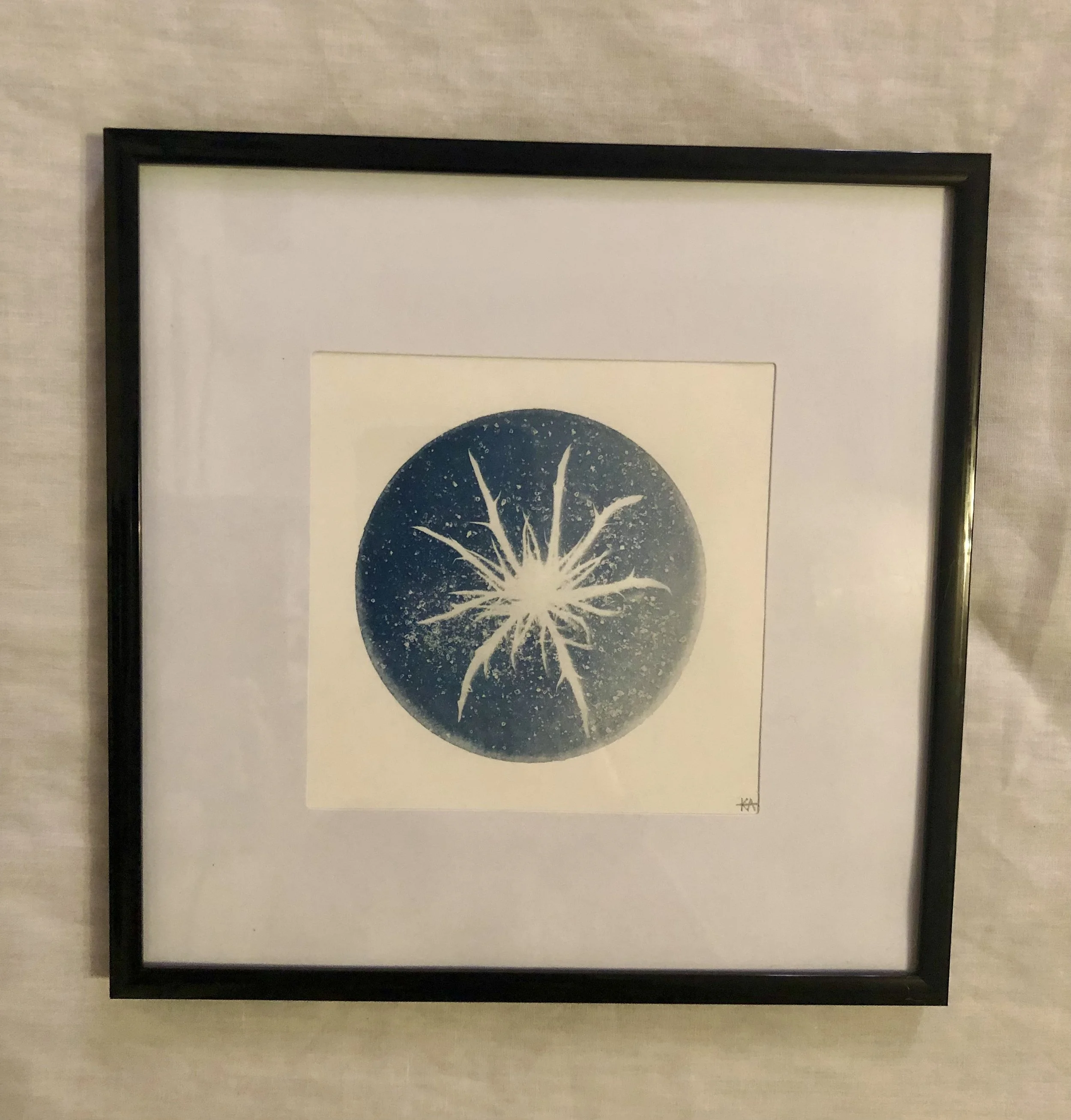 Alien Moon: Charlotte
5”x5”
Cyanotype on watercolor paper,
created with collections from the garden
SOLD

