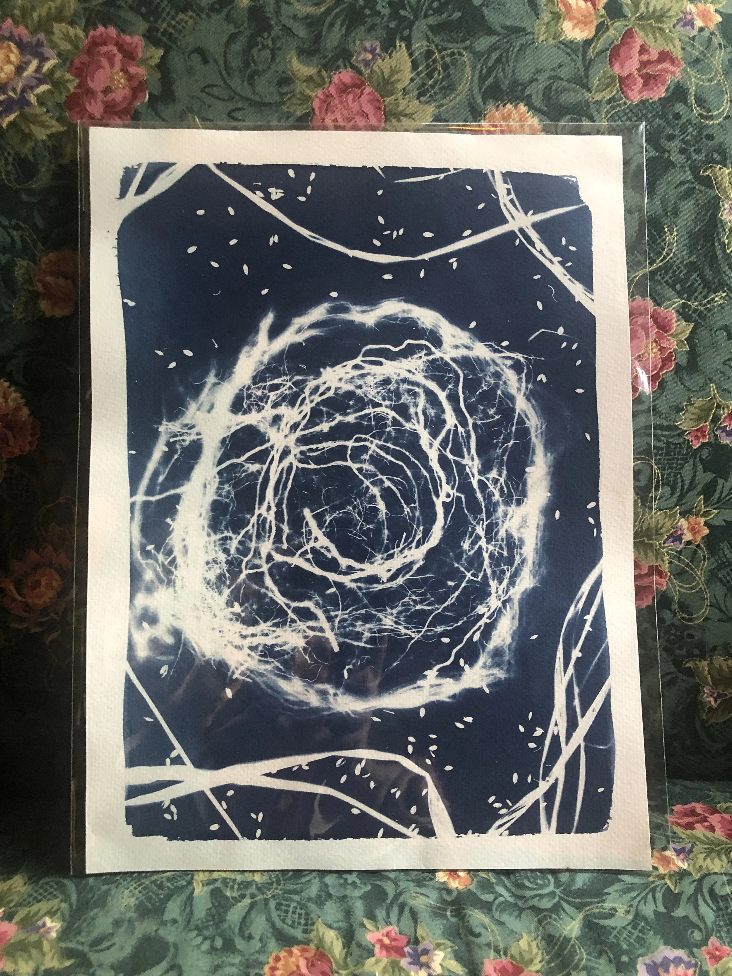 Rootbound Orb
9"x12"
Available at Homegrown