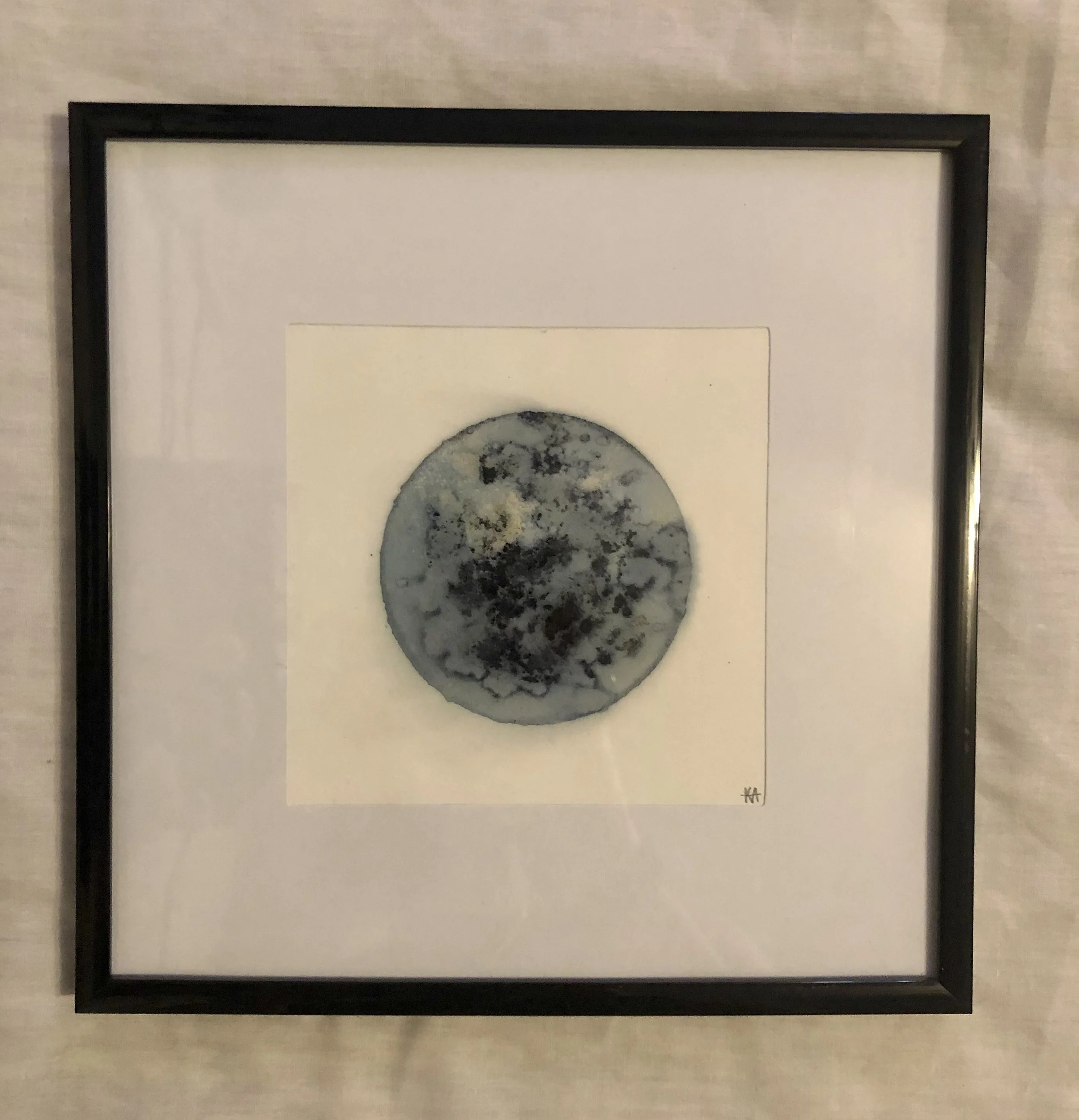 Alien Moon: Miranda
5”x5”
Cyanotype on watercolor paper,
created with collections from the garden
$40 (framed)