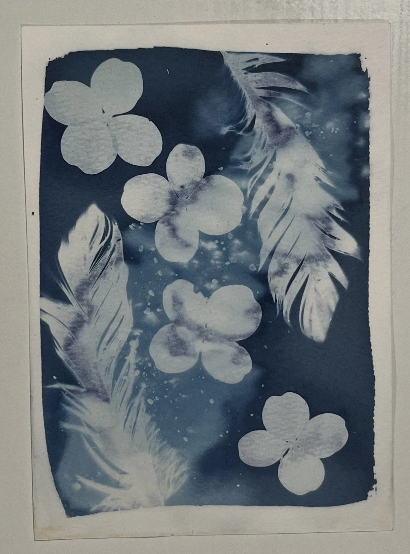 Flowing Through Cancer Season
5"x7"
Cyanotype