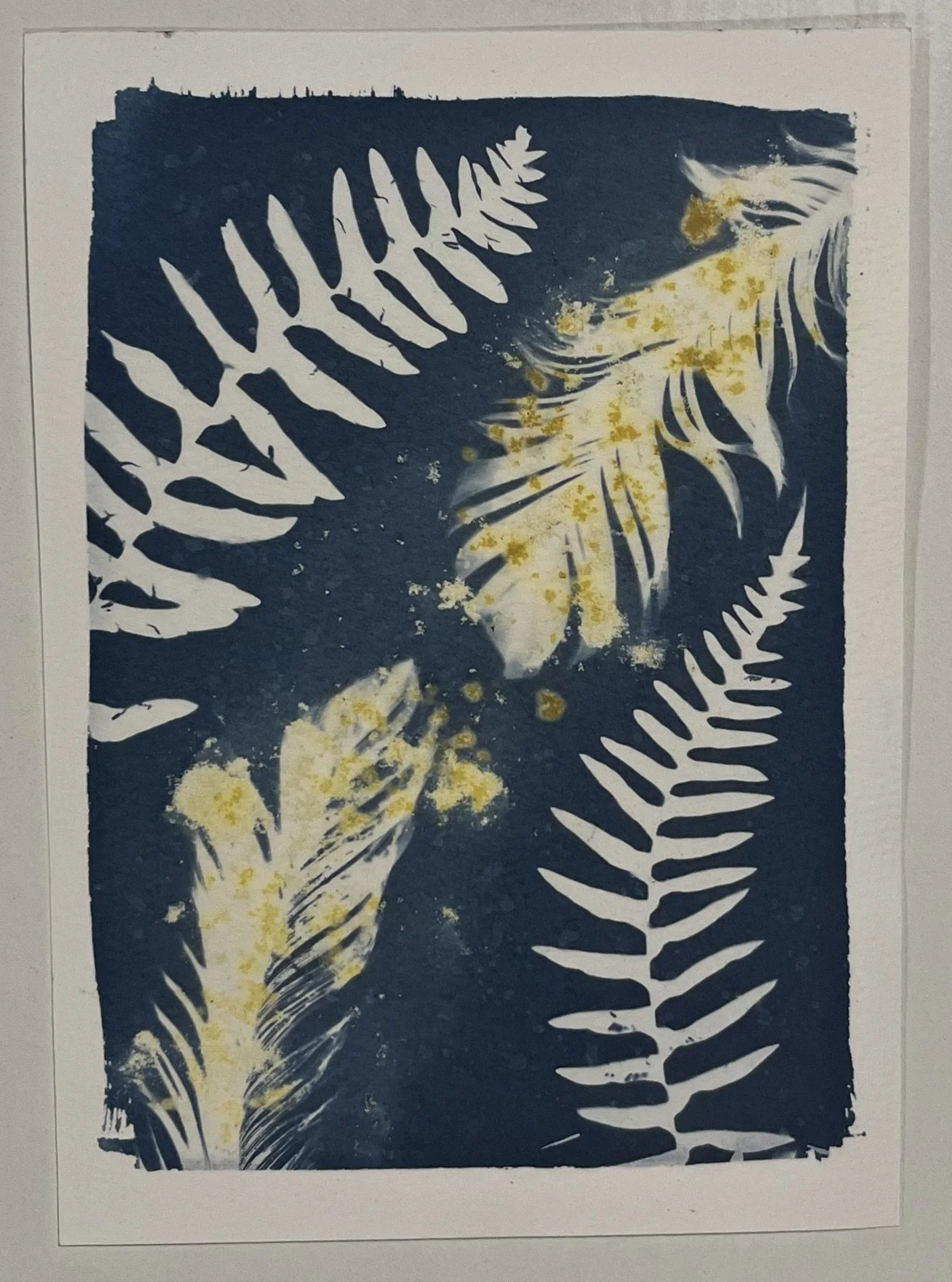 Leo Season Collections
5"x7"
Cyanotype