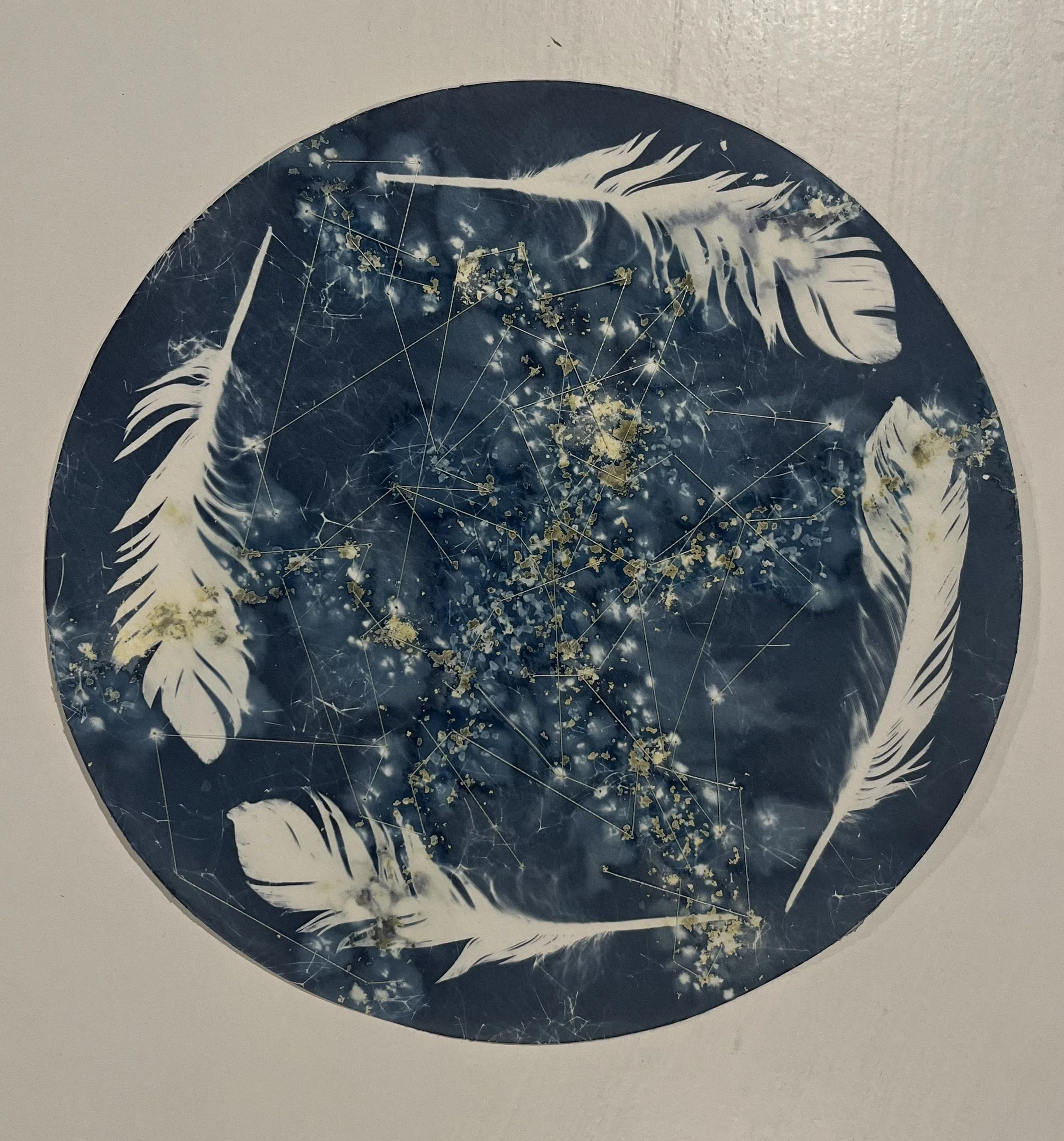 "Dreaming of Crows on a Super Blue Moon" Featured in 
Knock on Wood juried exhibit at the Rogers Free Library (Bristol Art Museum) On view: Sep 23 - Nov 1, 2024 (Awarded Honorable Mention)