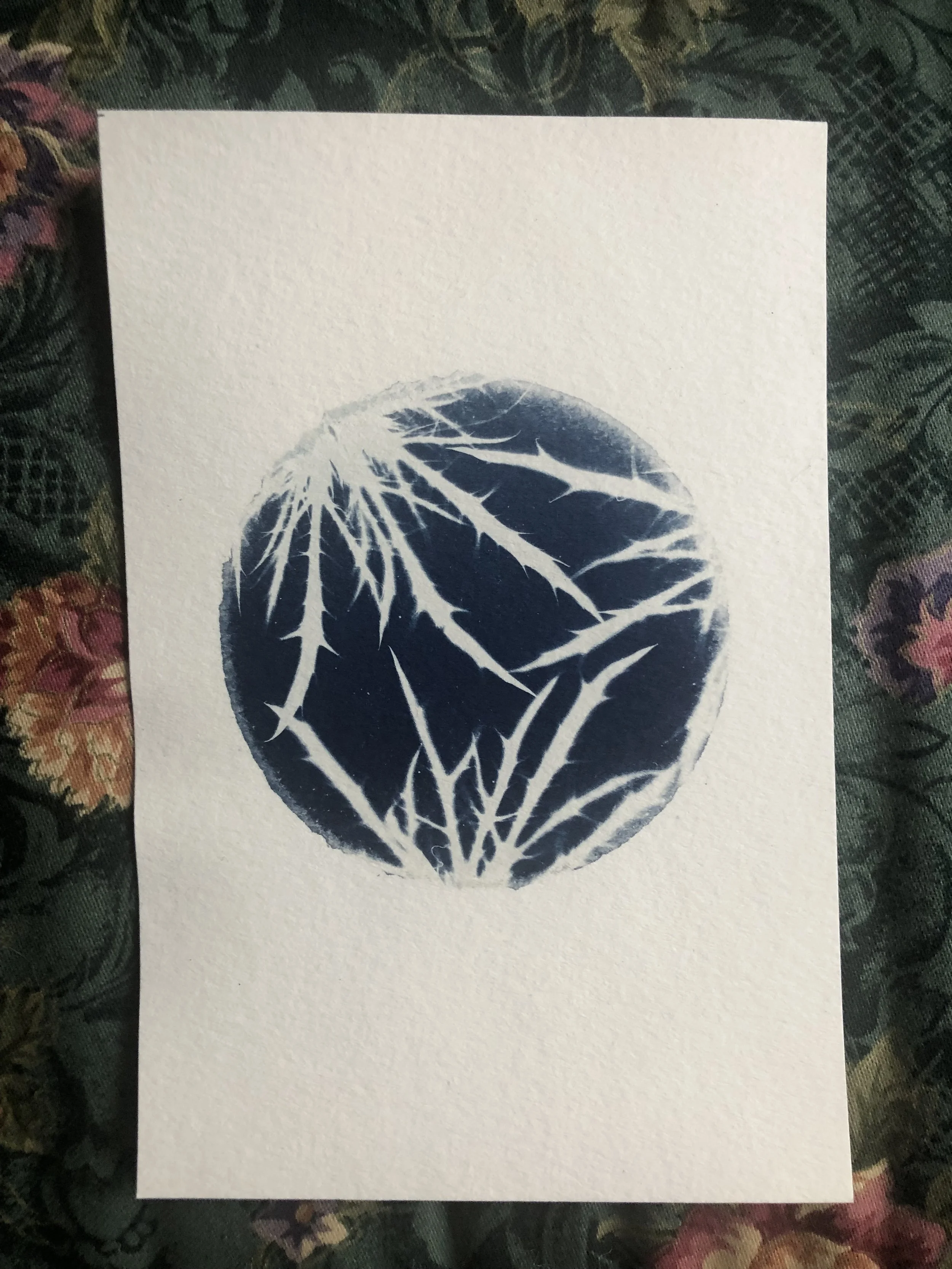 Orb
4"x6"
$10