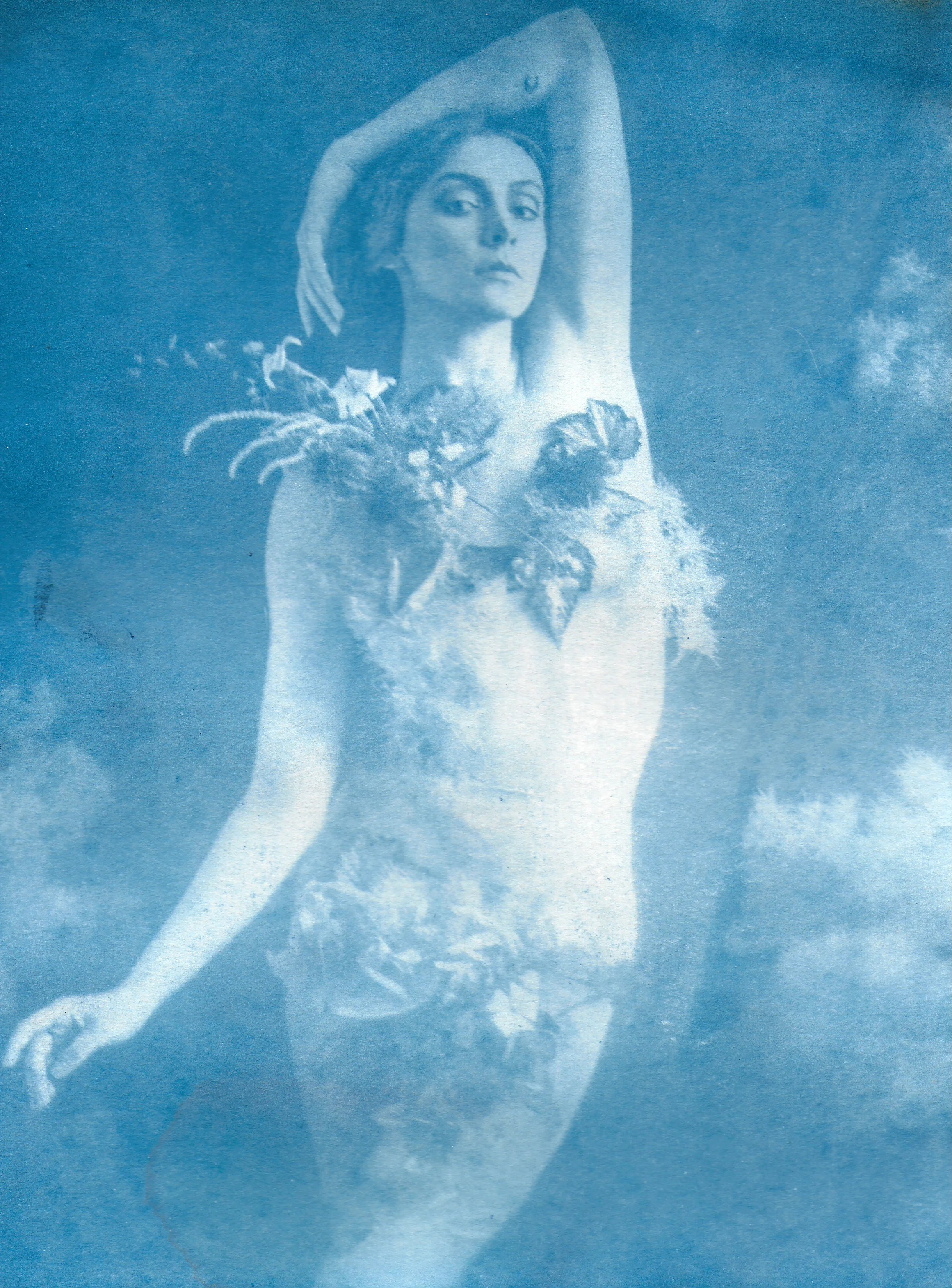 DanijelaGorley-cyanotype.jpg