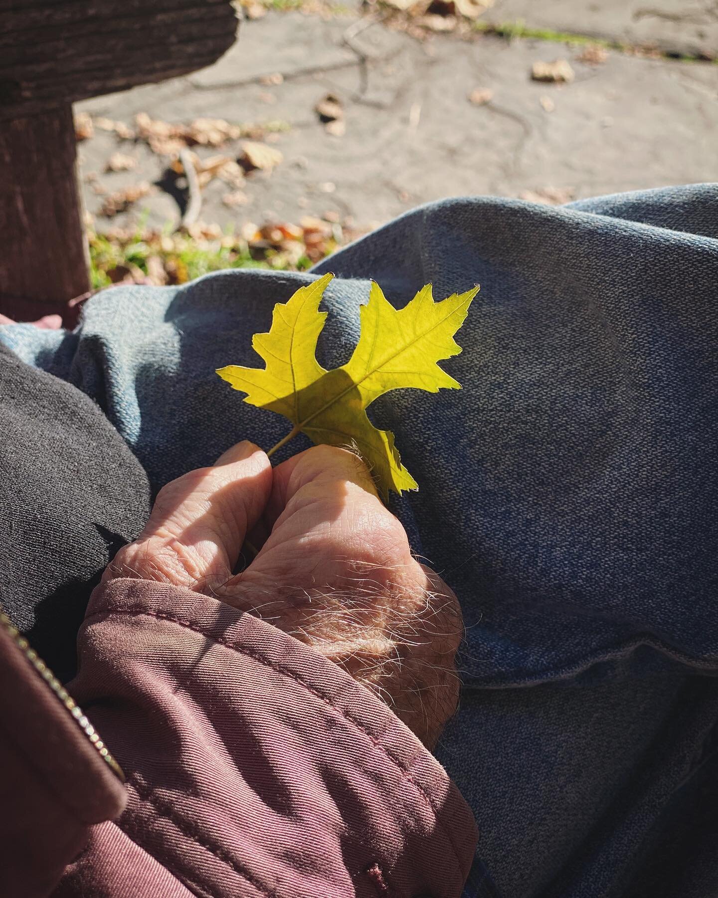 ．
These hands
and the characters they created
and the conversations they animated
．
Missing you, Ralph Lee. 
．
1. A splendid visit with Ralph last fall, collecting leaves and sitting in the sun. 
2. Hecate
3. Miss Donkey and Miss Kitty 
4. Two puppet
