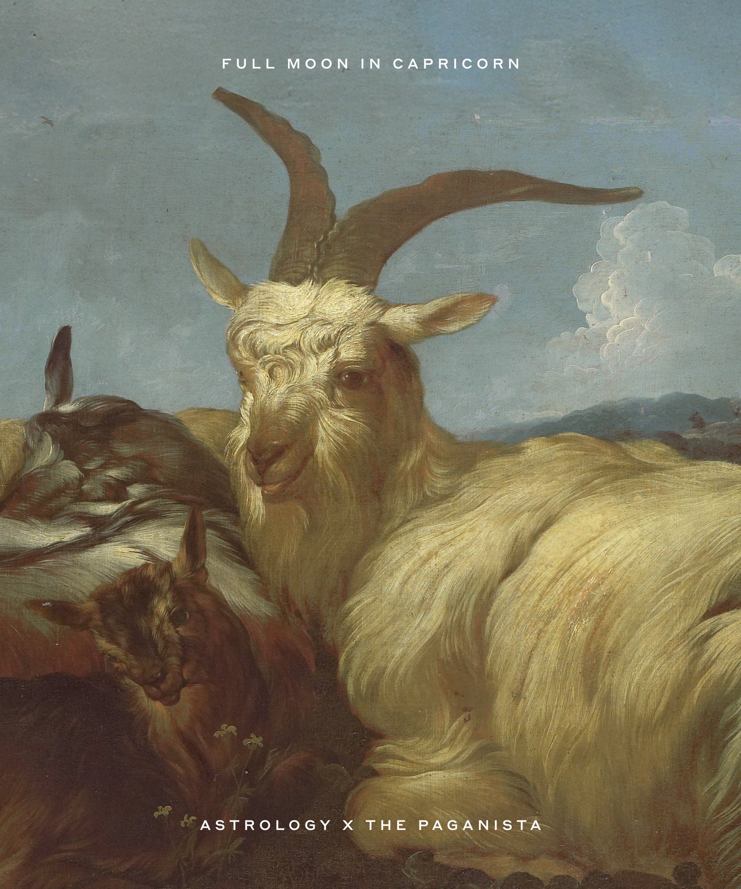 Full Moon in Capricorn