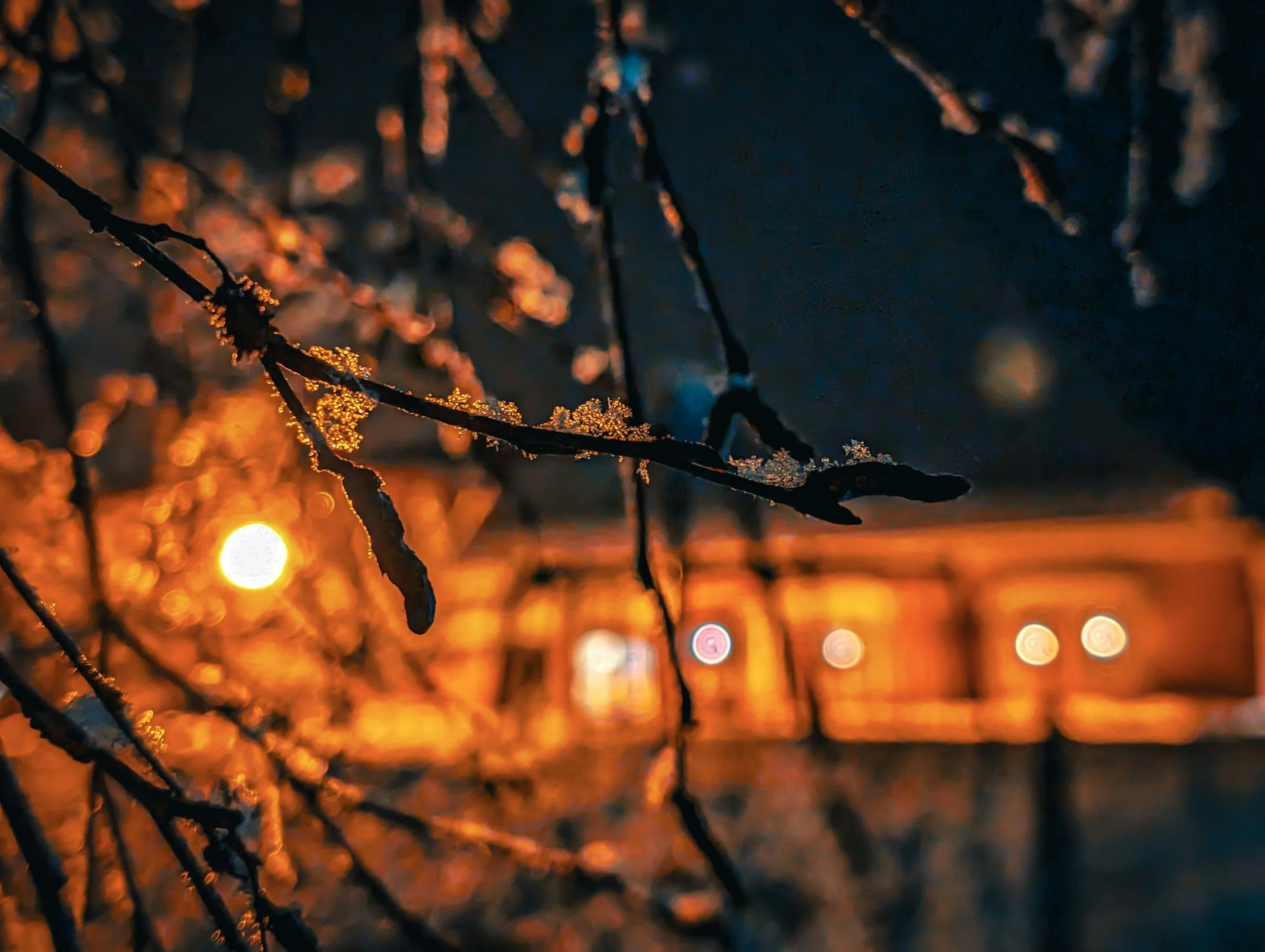 Light in the Longer Nights