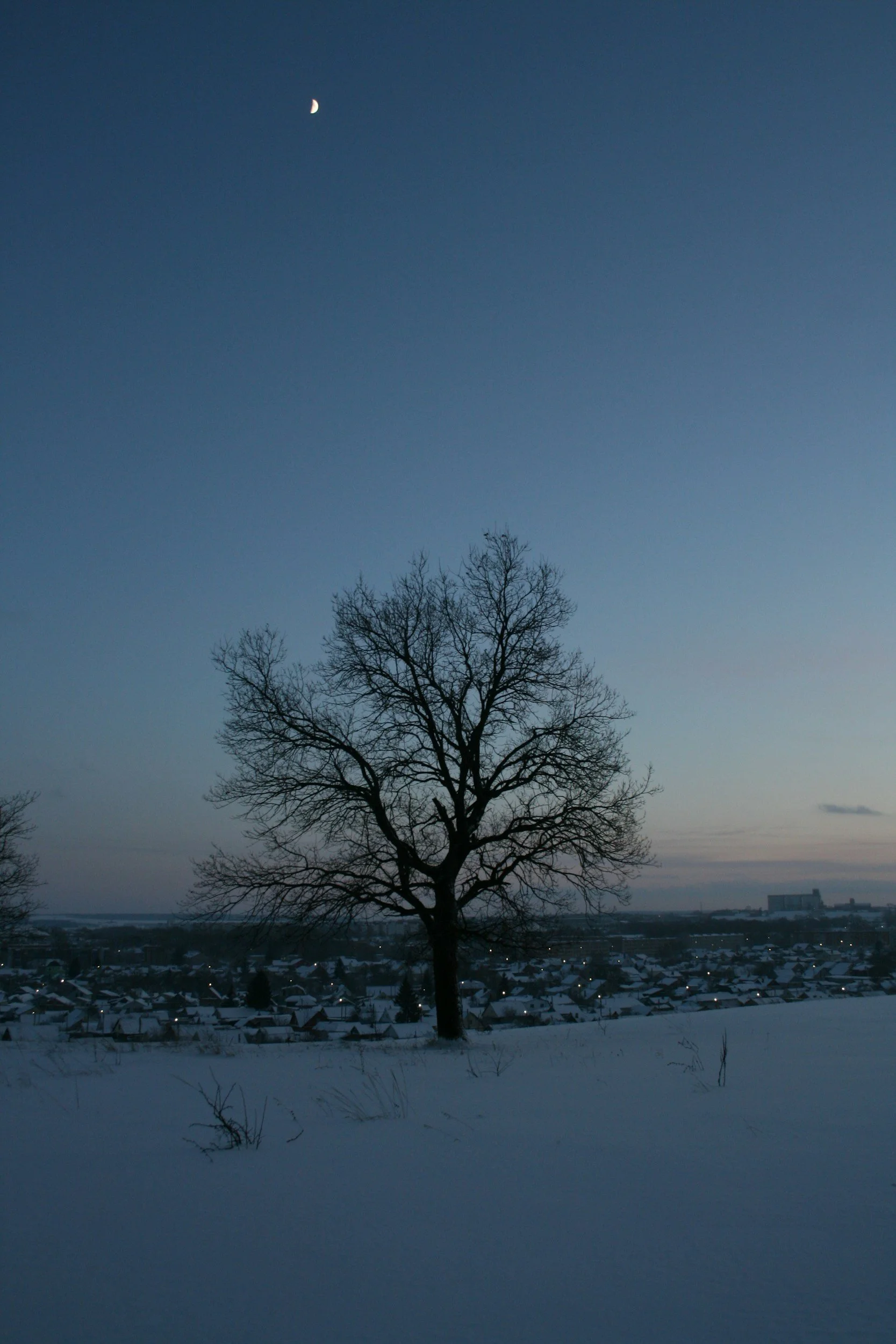 When Winter Feels Heavy: Finding Hope in the Hidden Season