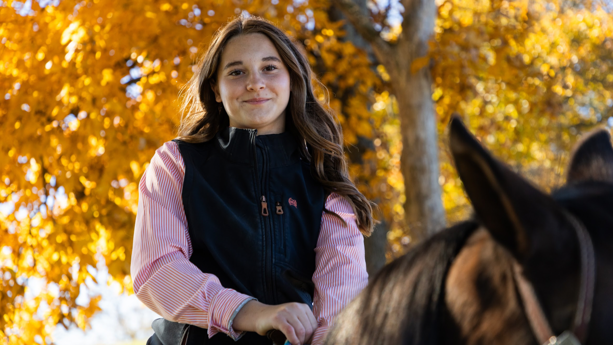 How Local Kentucky Brands Can Compete with National Ad Budgets Using High-Impact Commercial Video