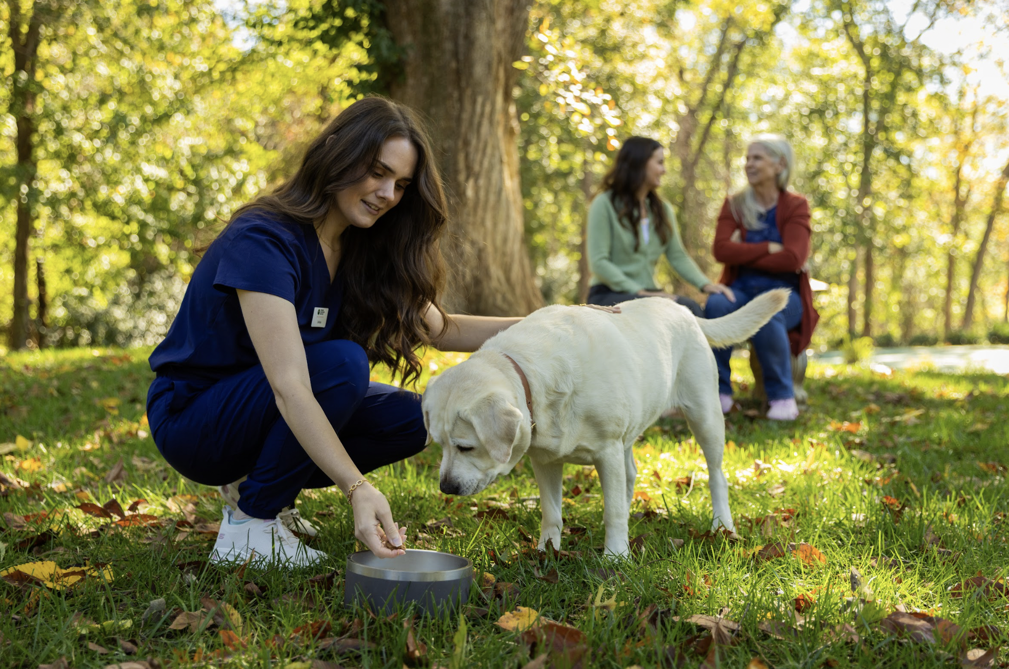 A woman in blue scrubs kneeling on the grass feeding a yellow Labrador Retriever dog in a park with trees. In the background, two women are sitting on a bench chatting.