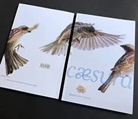 Reminder: Submit to Cæsura 2026!