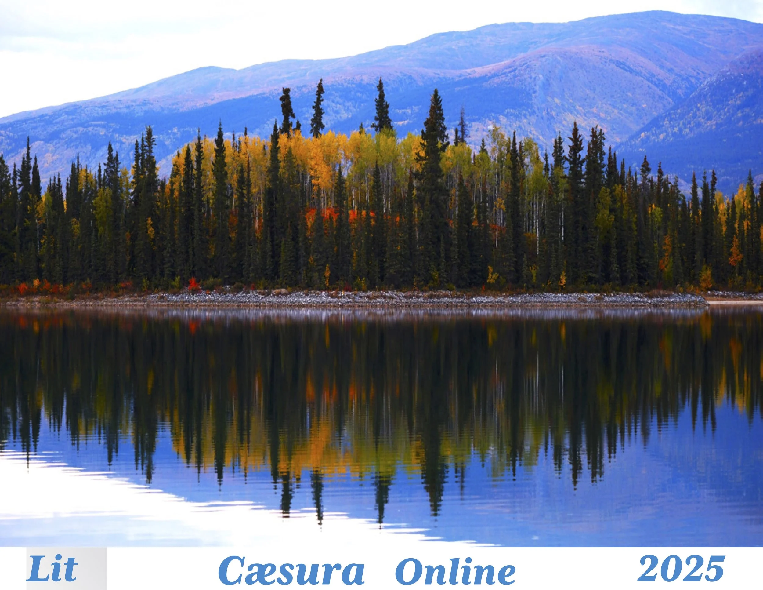 Cæsura 2025 Online: Lit