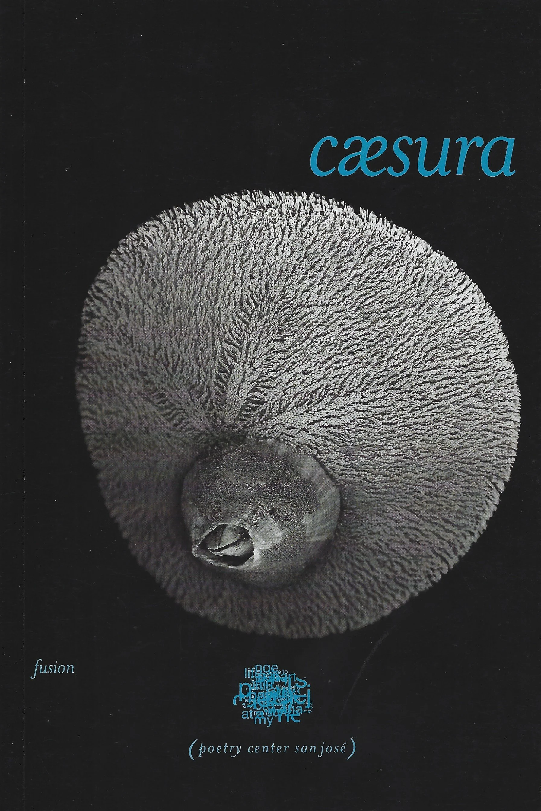 caesura2015.jpg