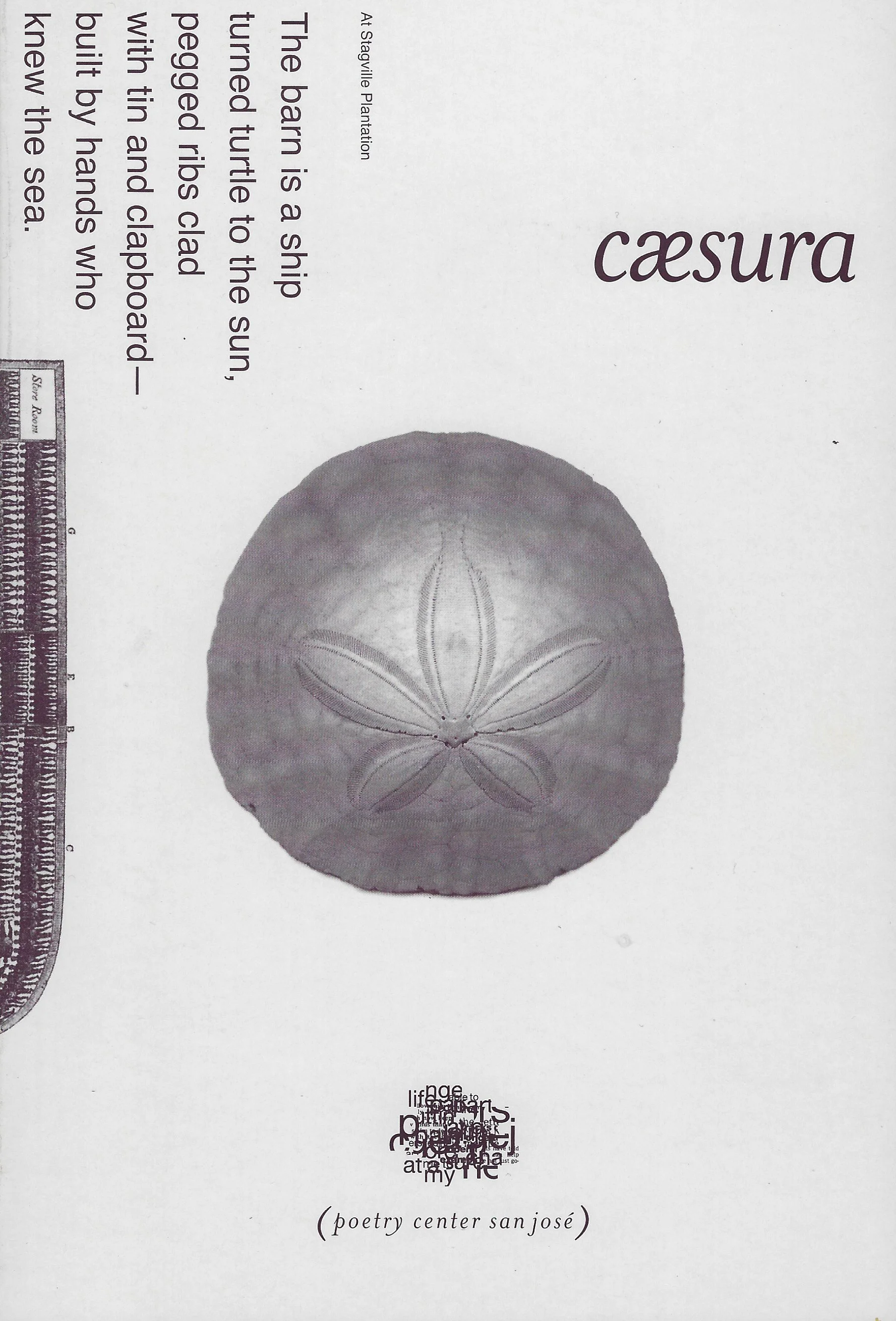 Cæsura 2008