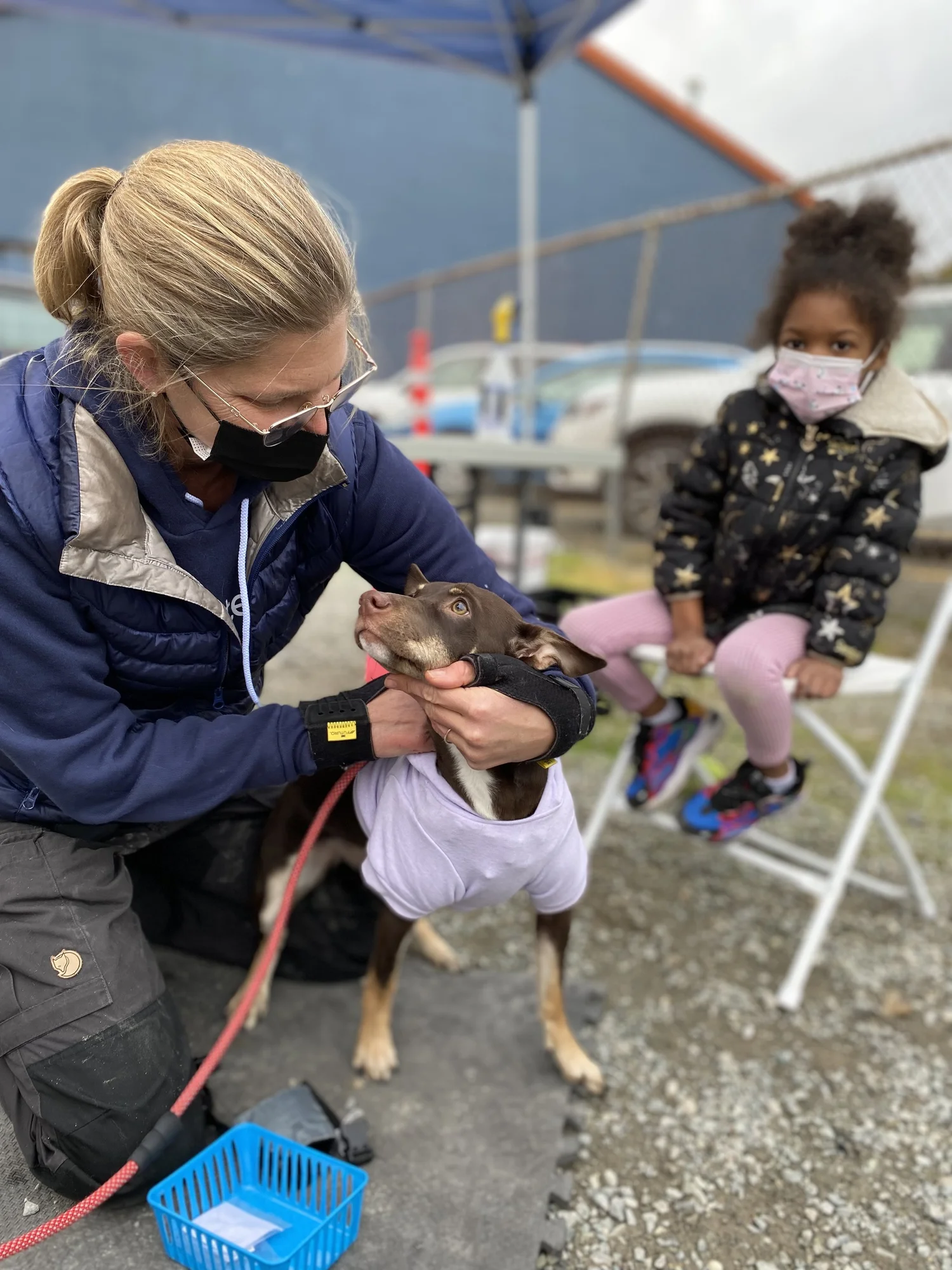 Gallery — Seattle Veterinary Outreach