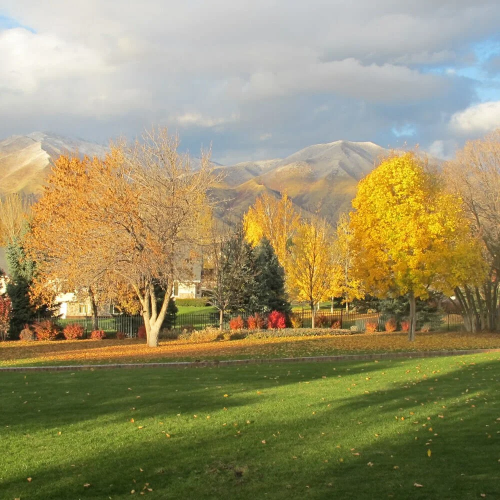 Maple Mountain Mental Health & Wellness