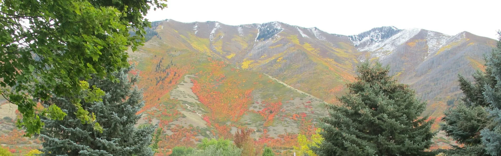 Maple Mountain Mental Health & Wellness