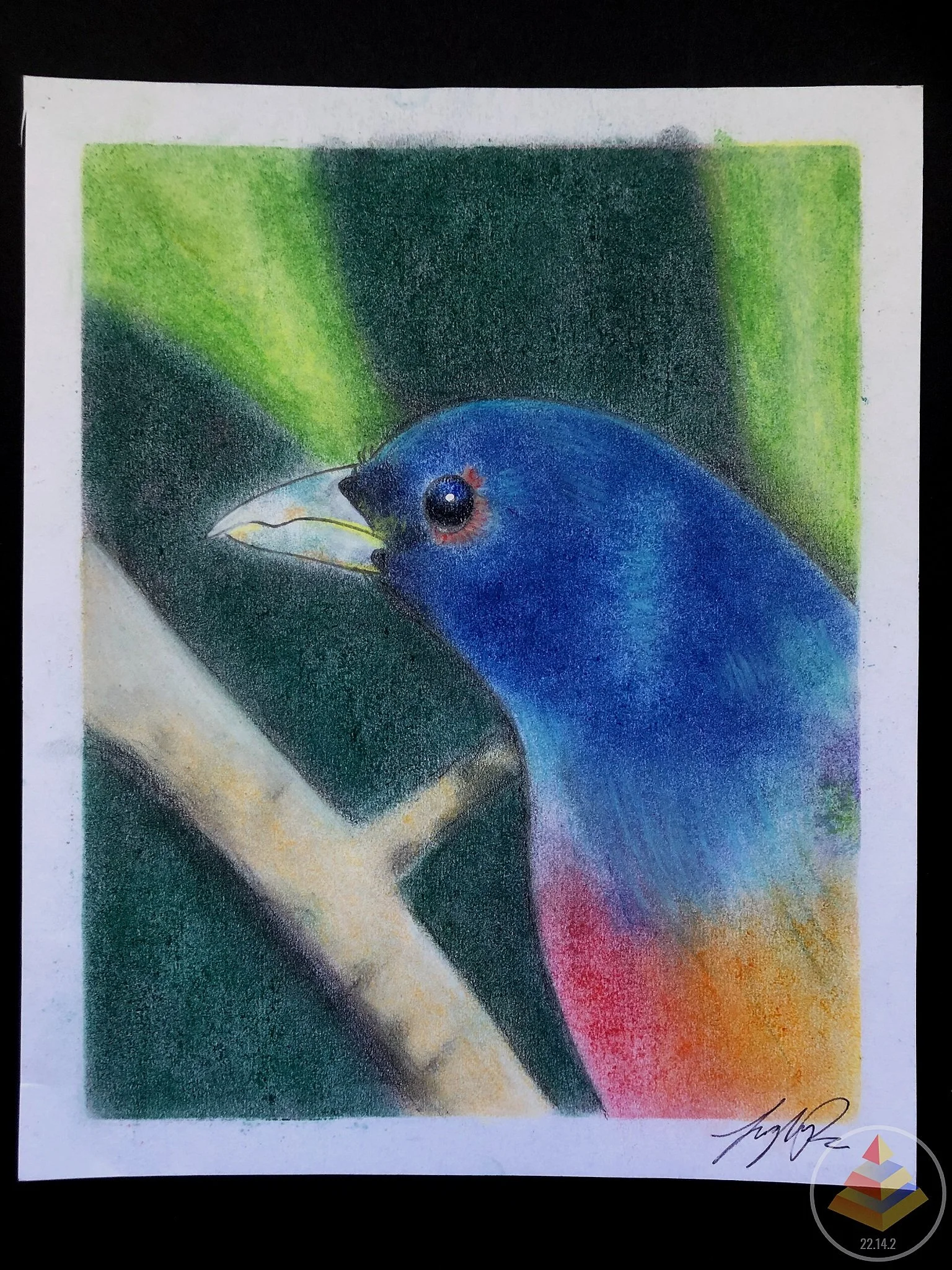Tropical Peak • Chalk Pastel, Pencil