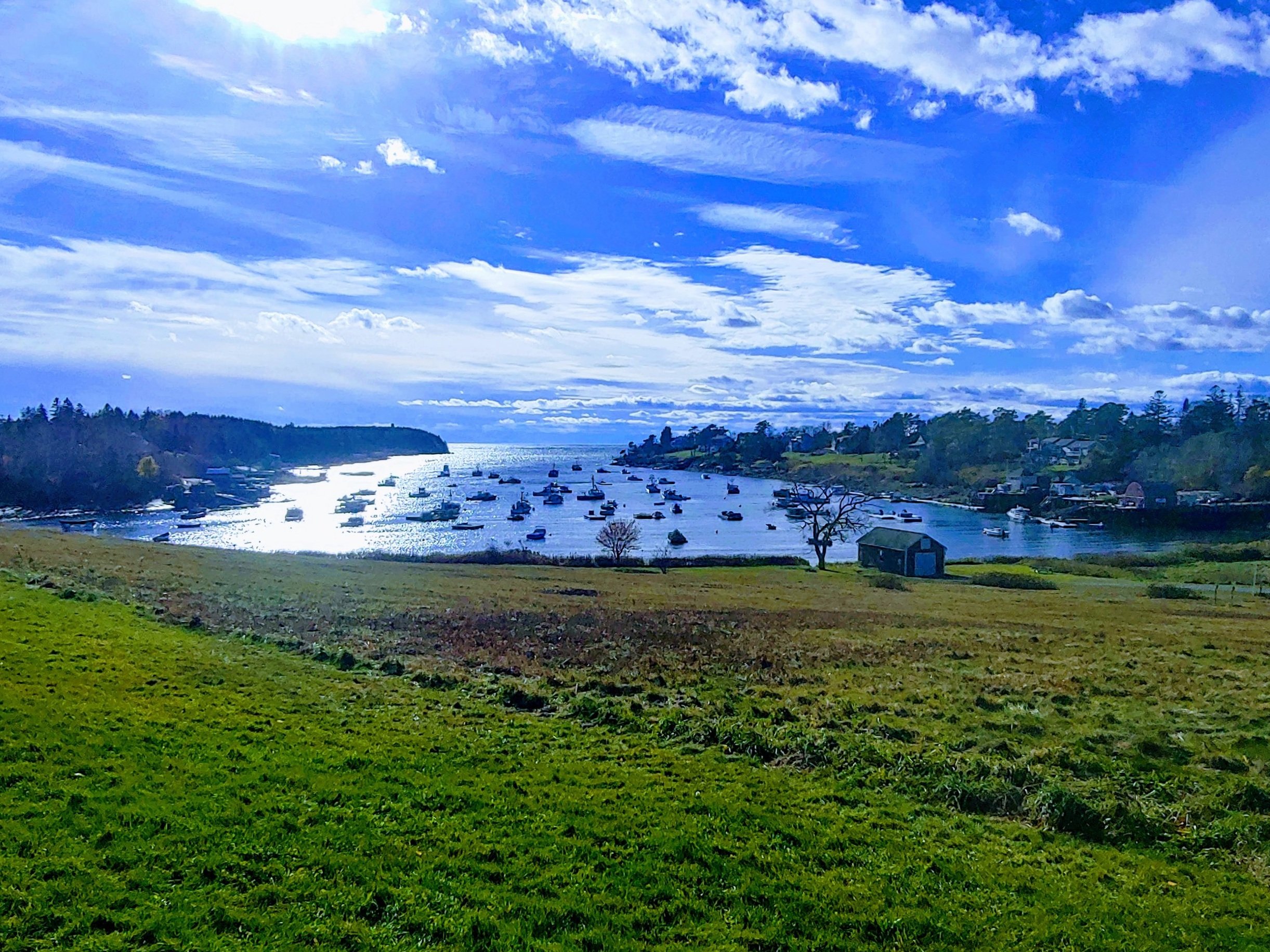 1114211253a_HDR-EFFECTS.jpg