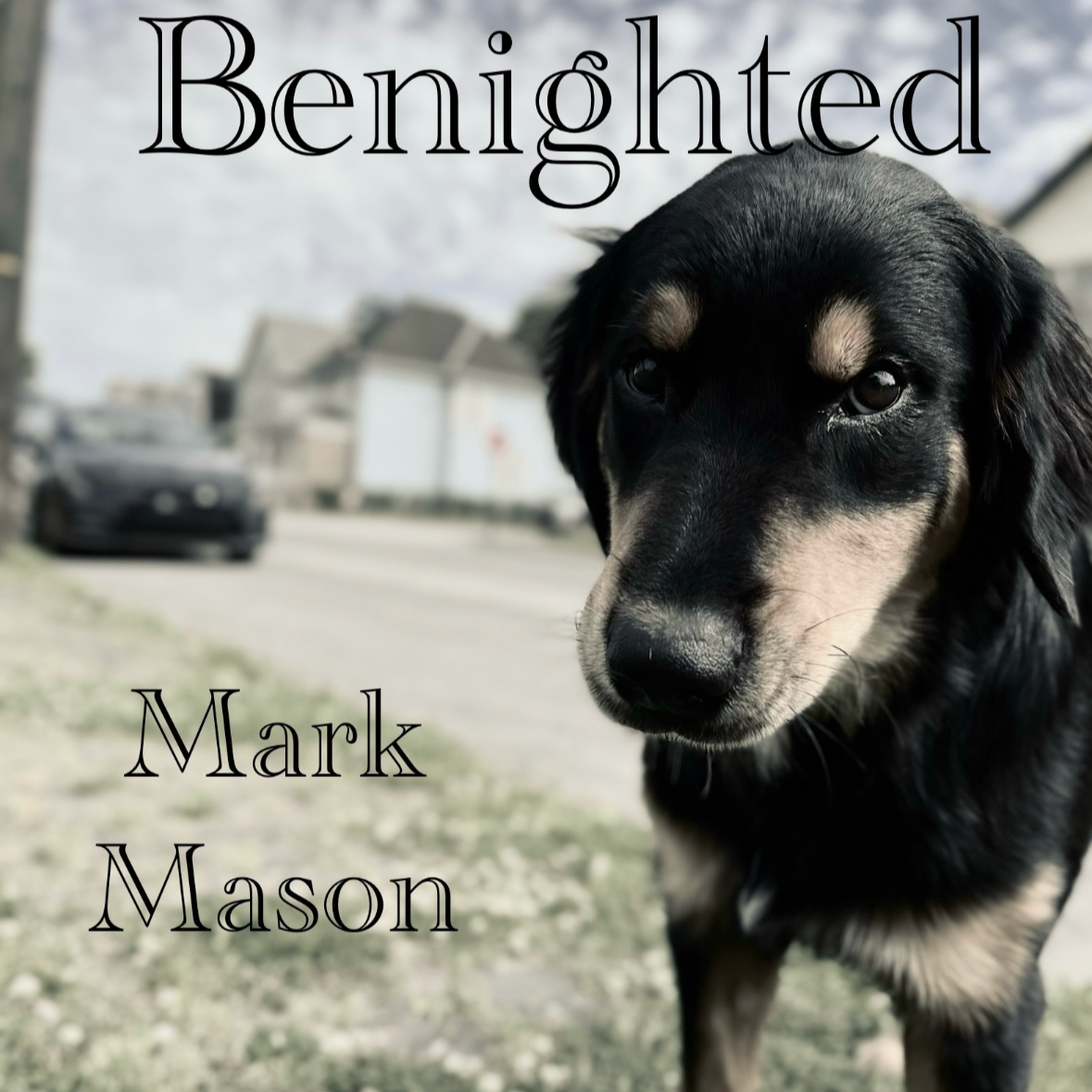 Benighted [January 2025]