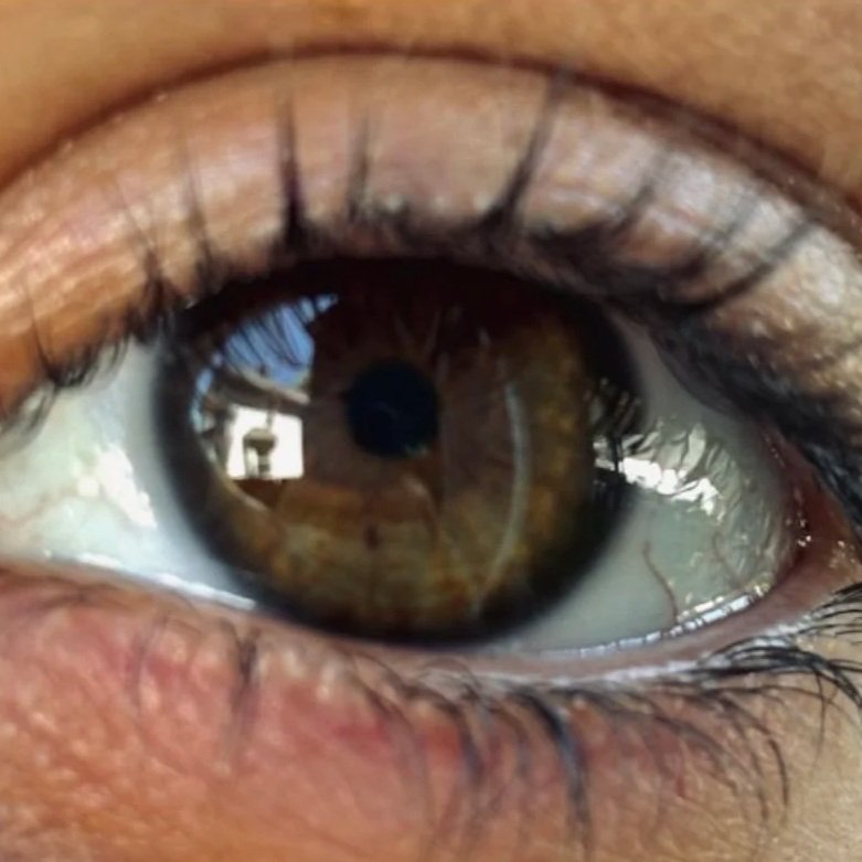 Brown Eyed Girl [December 2024]