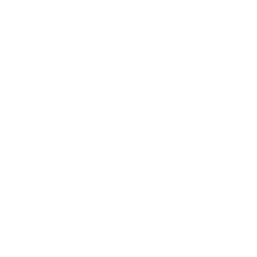 HT Transparent White Faces