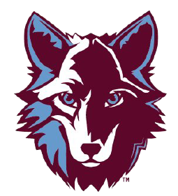 Stylized illustration of a lynx's face with blue and purple shades.
