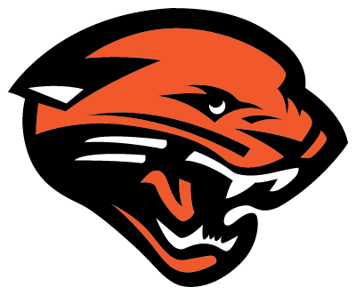 Logo of a black and orange panther head with a fierce expression.