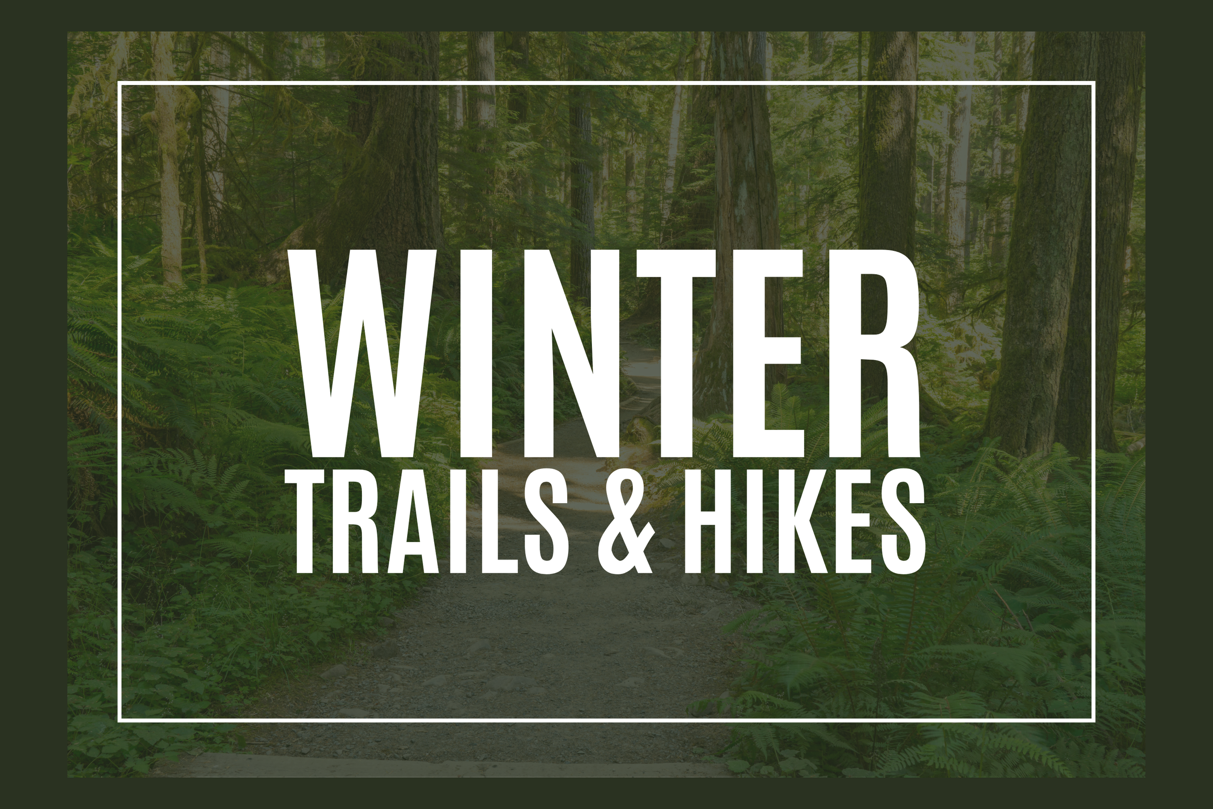 Winter Walks &amp; Hikes in South King County