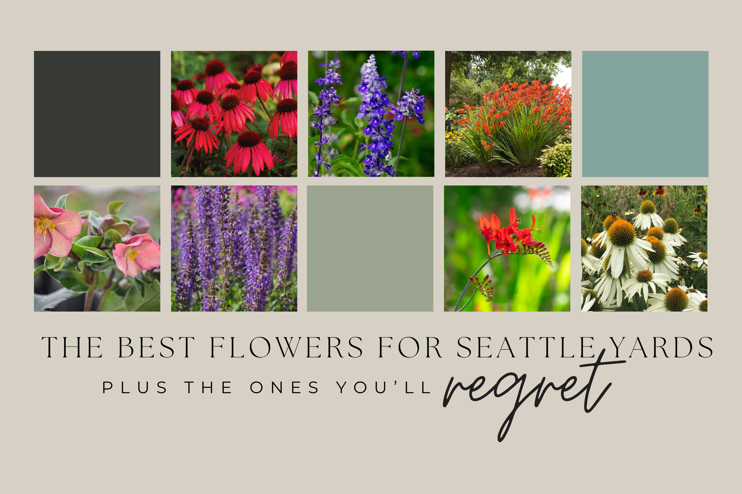 Best Flowers for Seattle Yards (Plus the Ones You’ll Regret)