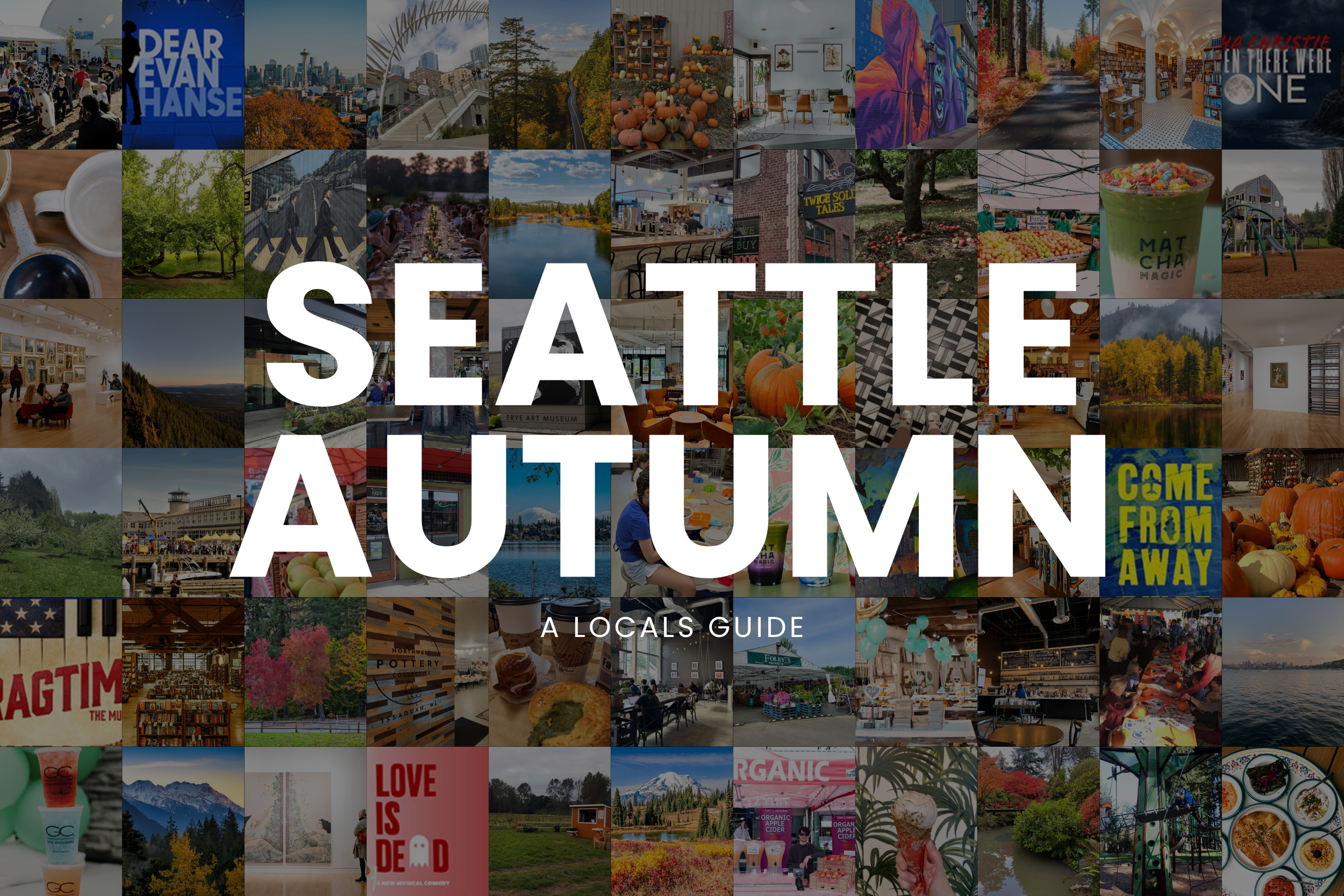 A Local’s Fall Guide to Seattle: The Places, Traditions &amp; Experiences Worth Knowing