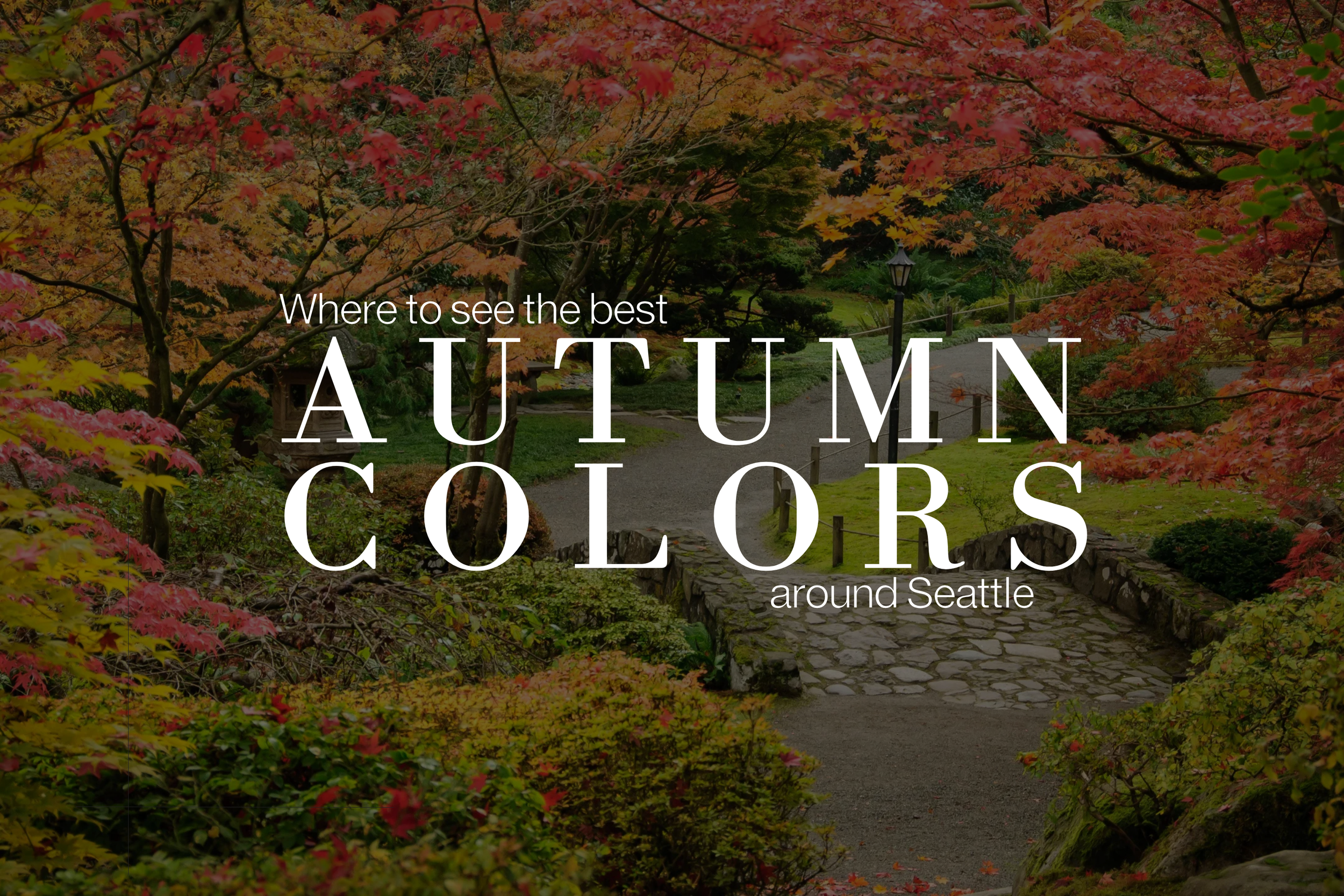 Where to See the Best Fall Colors Around Seattle
