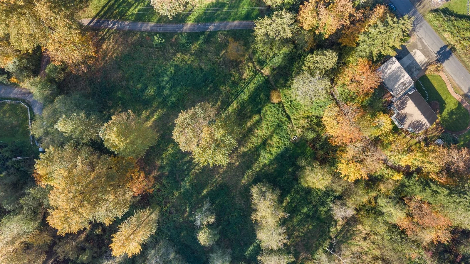 38-DJI_20261023152809_0067_D.jpg