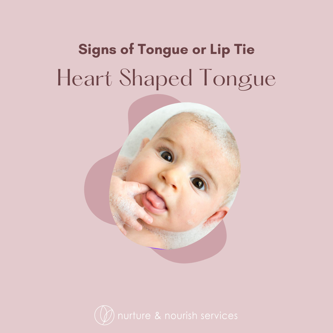 12 heart shaped tongue.png