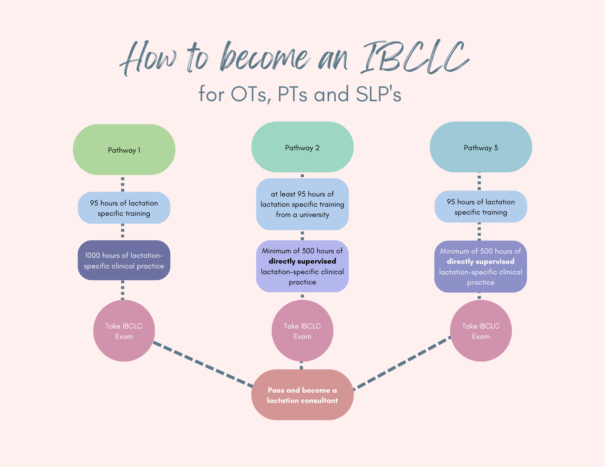 a Lactation Consultant for OT,s SLPs & PT's