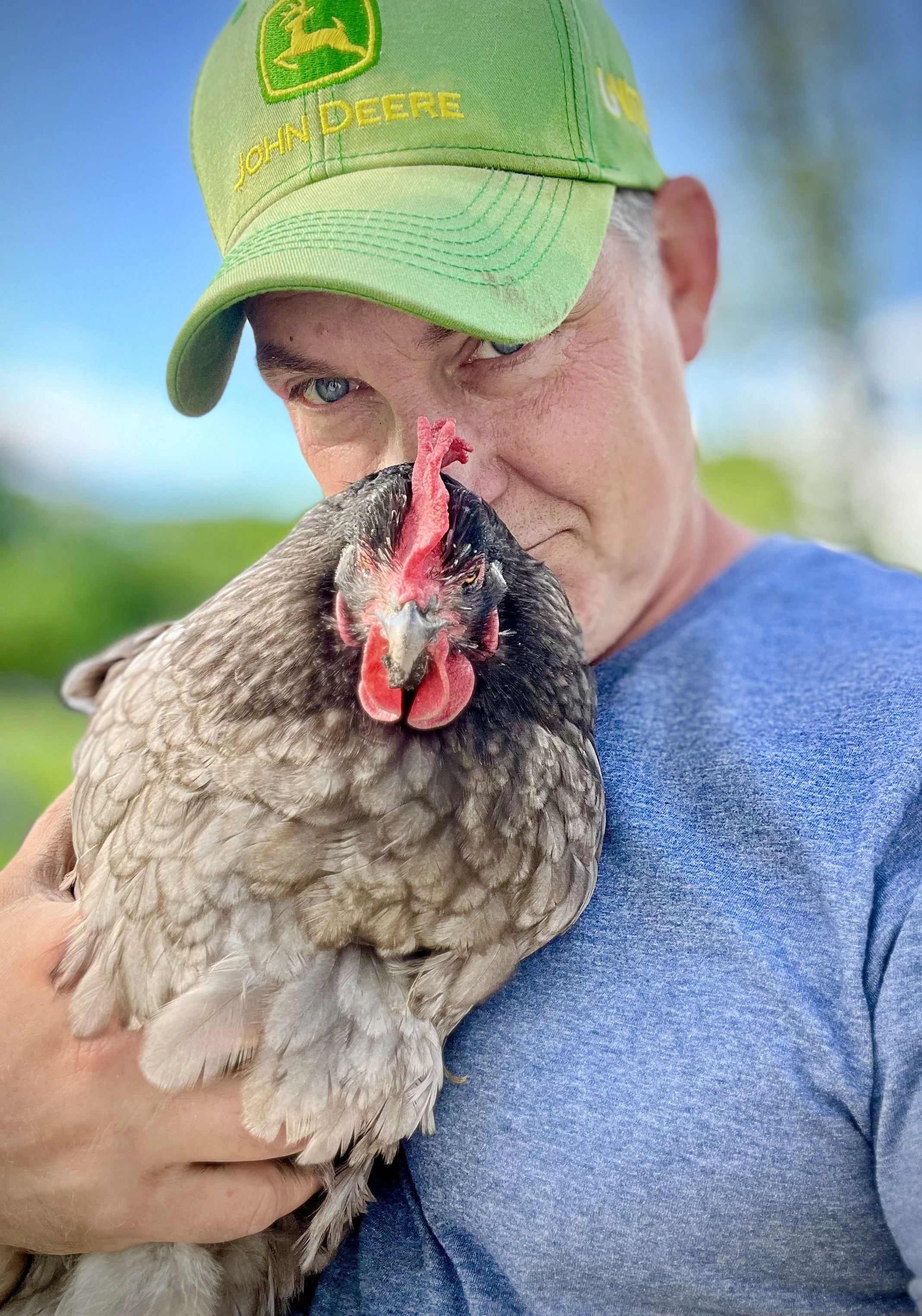 Andrew and Beatrice, our beloved house Chicken at Lathrop Farm