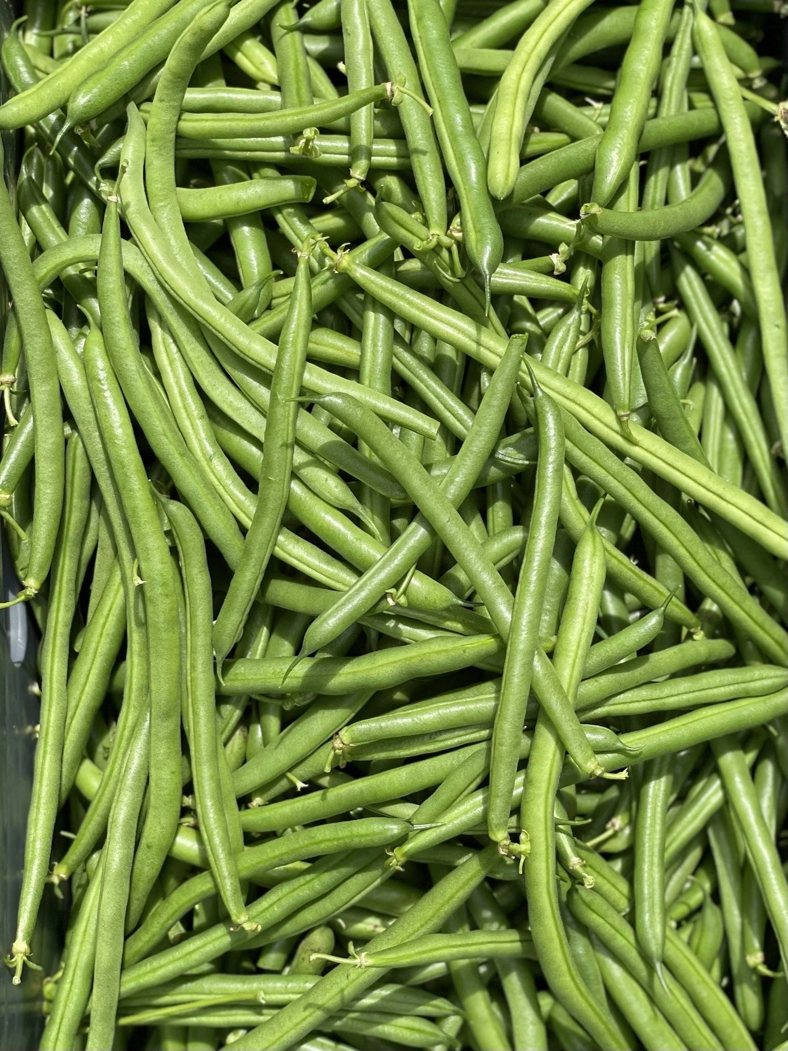 green beans.JPEG