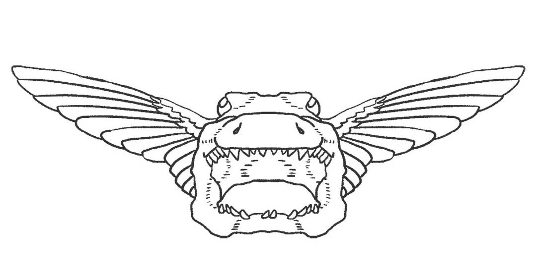 alligator+skull+hummingbird+rings.jpg