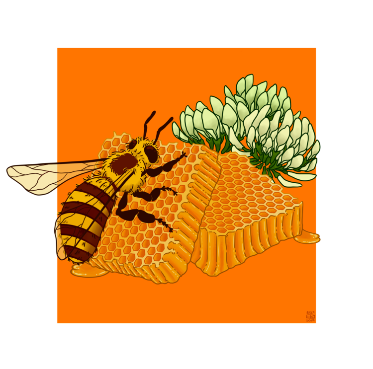 bee.png