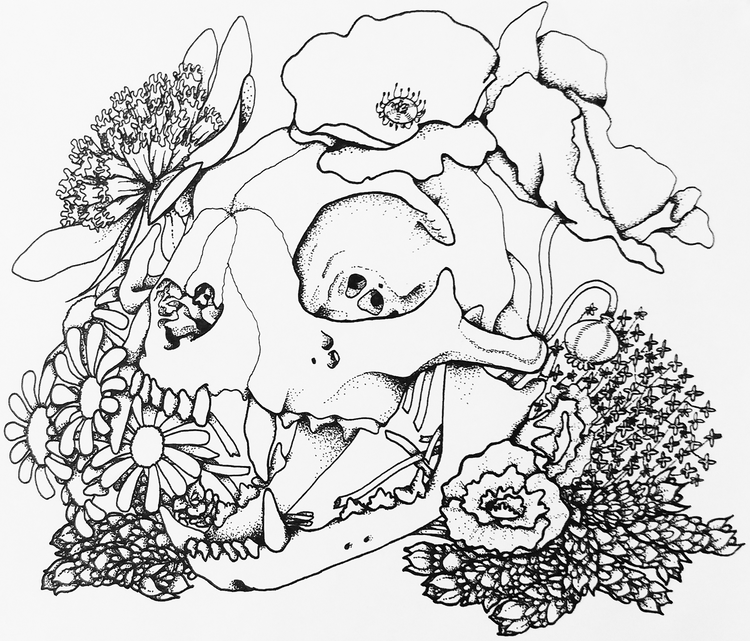 cat-skull.png