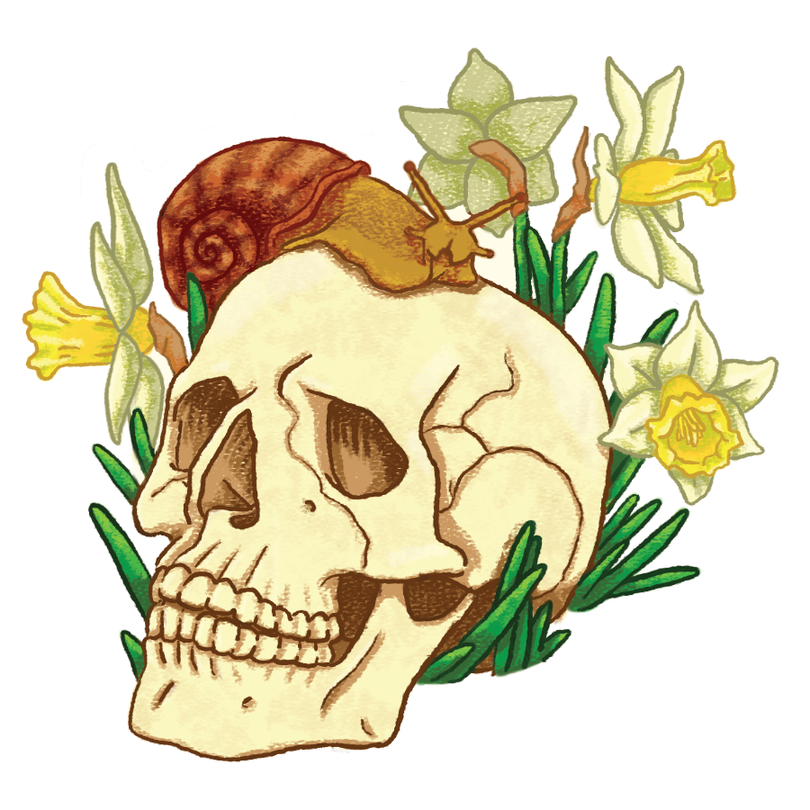 Garden+Skull+bg.png