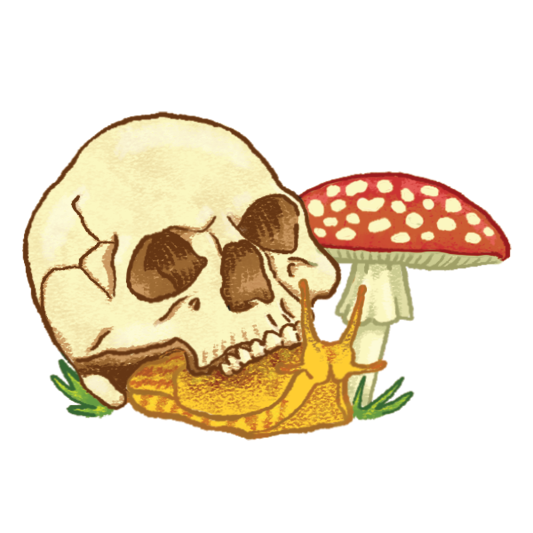 skull+snail+w+mush.png