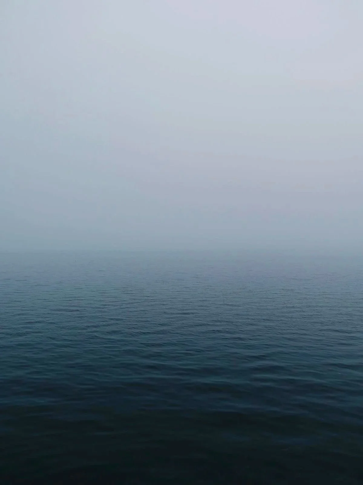 Deep Integration: 6-Month Container