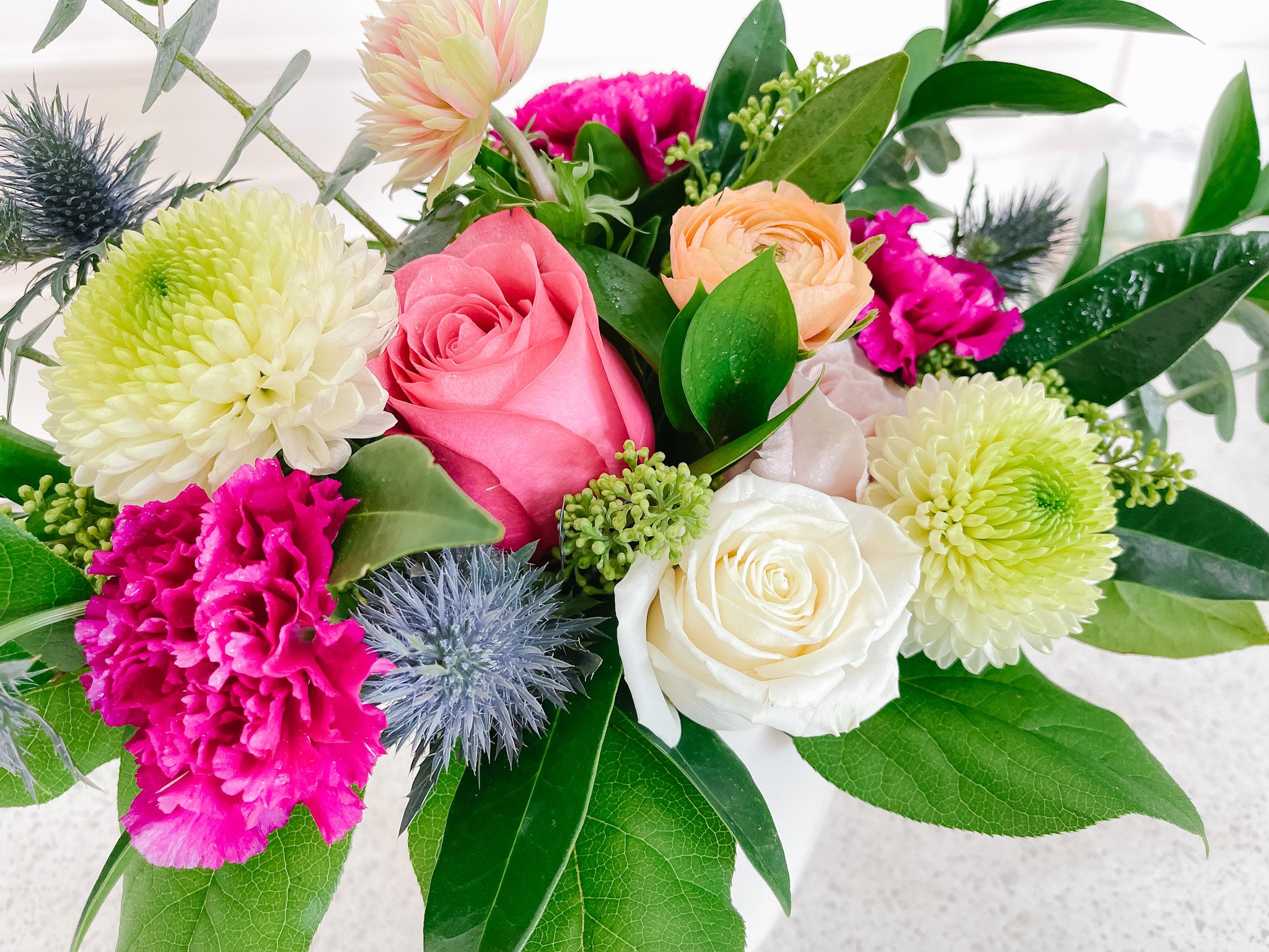IMG_1009.JPG