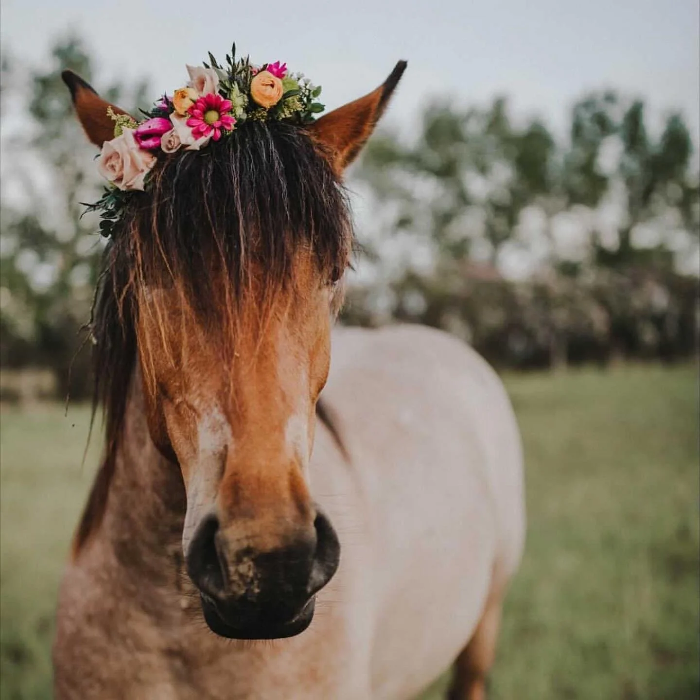 Ciara Sandum Photography.JPG