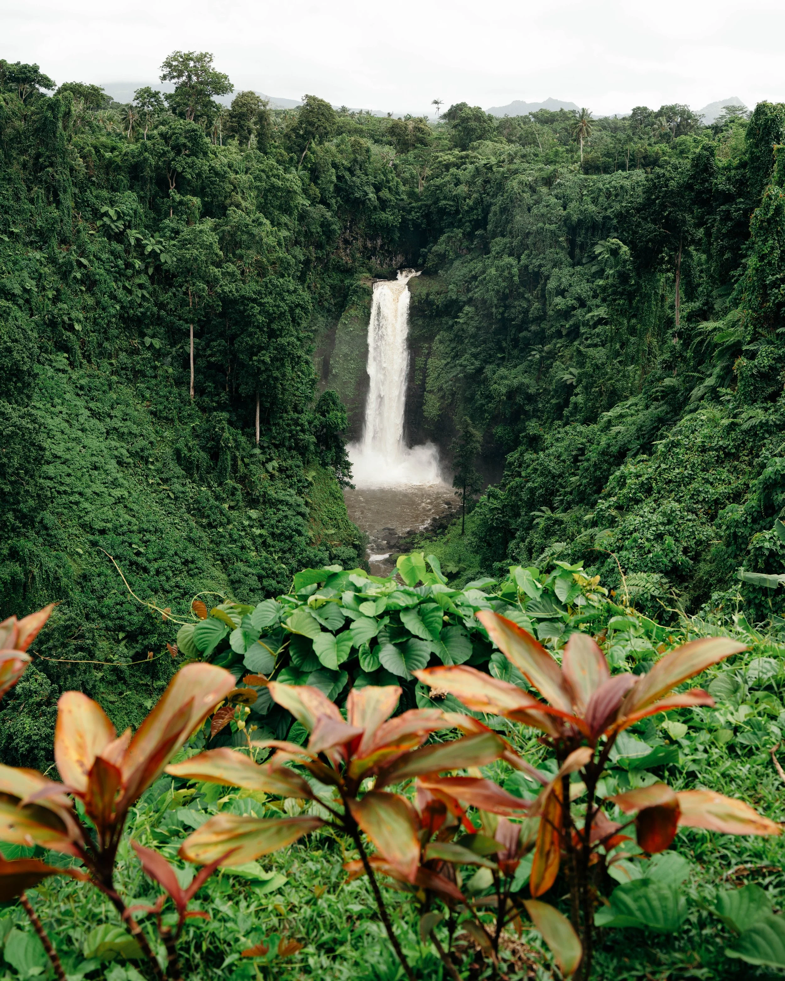 View of Papapapaitai Falls in Samoa