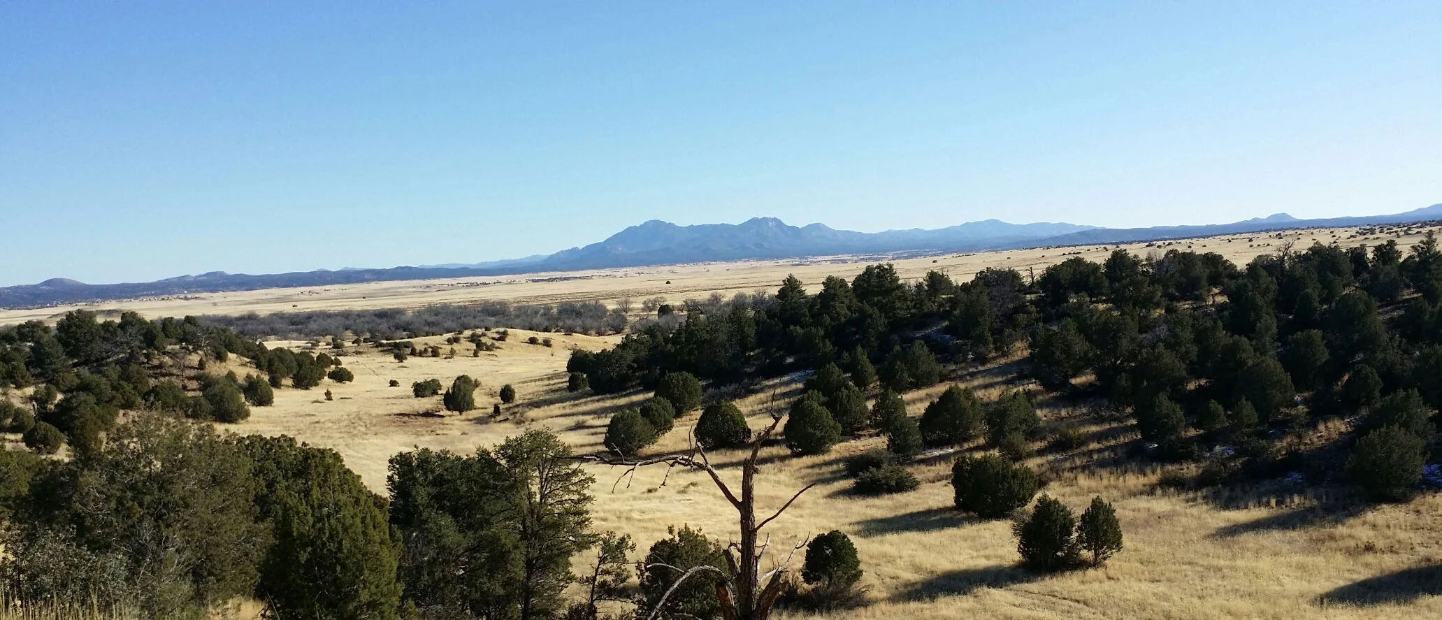 Banner_LVRanch2.jpg