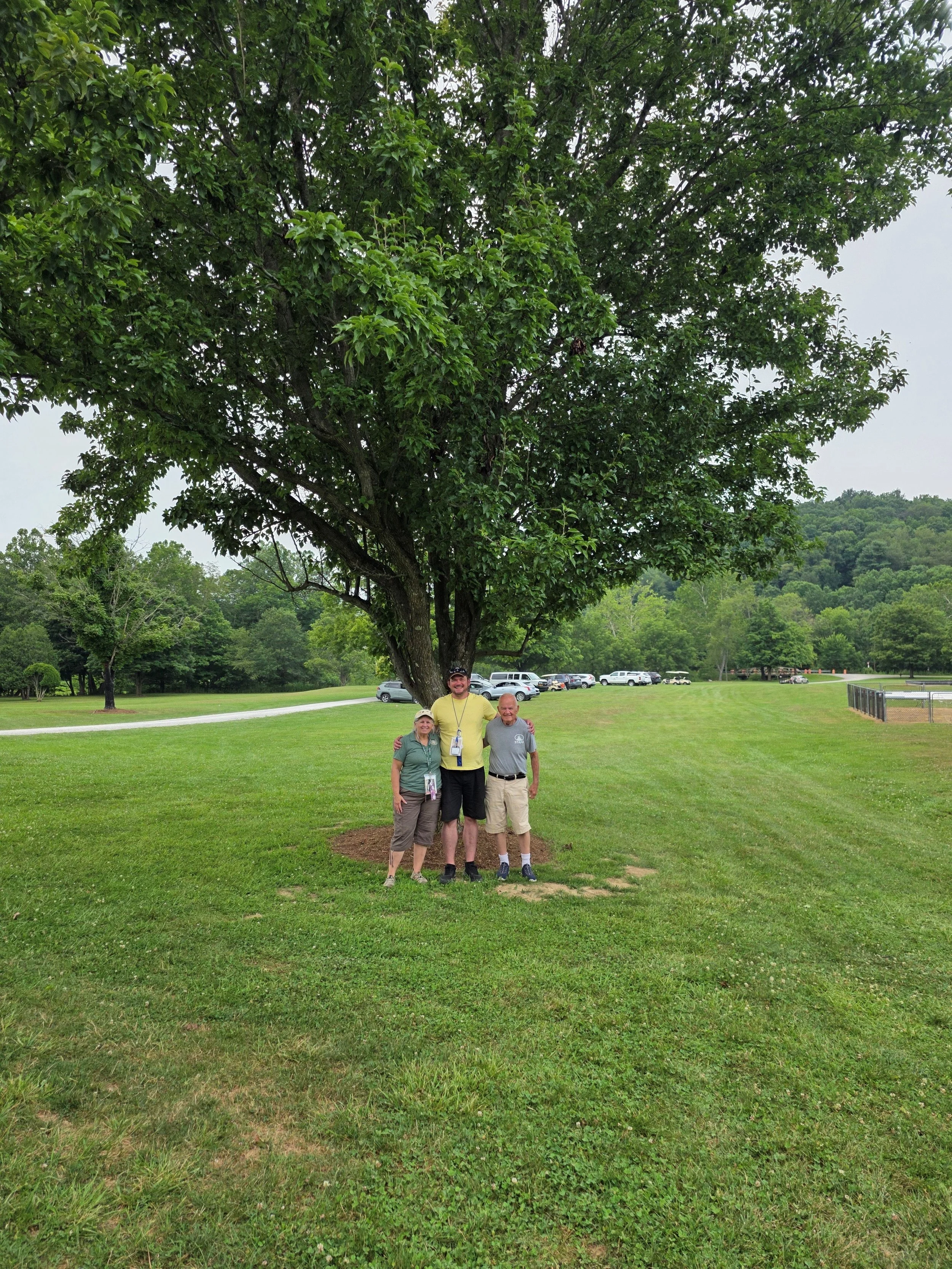 The Tree is Still Growing