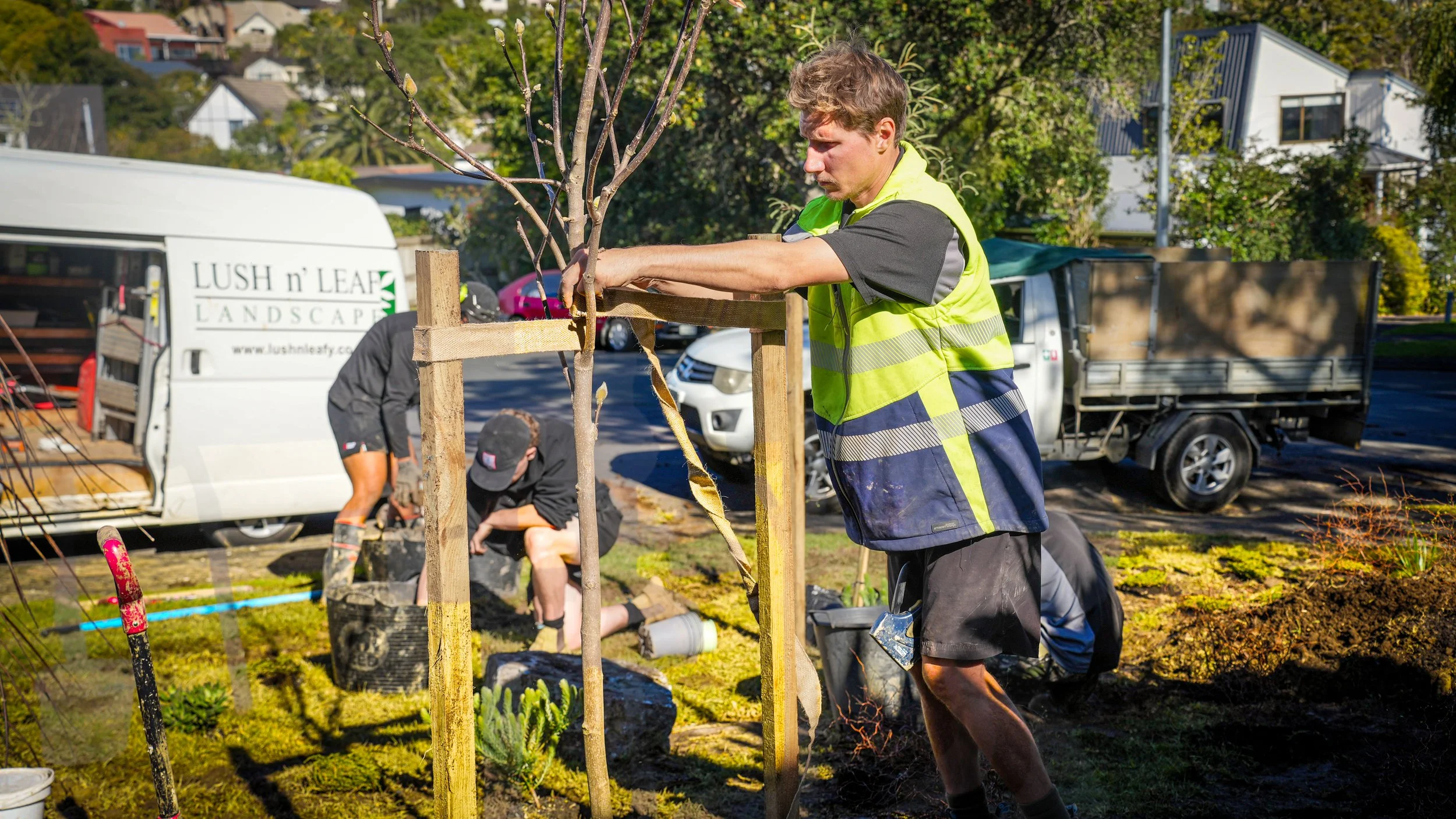 A man in a yellow safety vest and black shirt is planting a small tree, attaching it to a wooden frame. Other workers are nearby, working on the same planting project, in an outdoor setting with gravel, grass, and garden tools. A white van marked 'LU